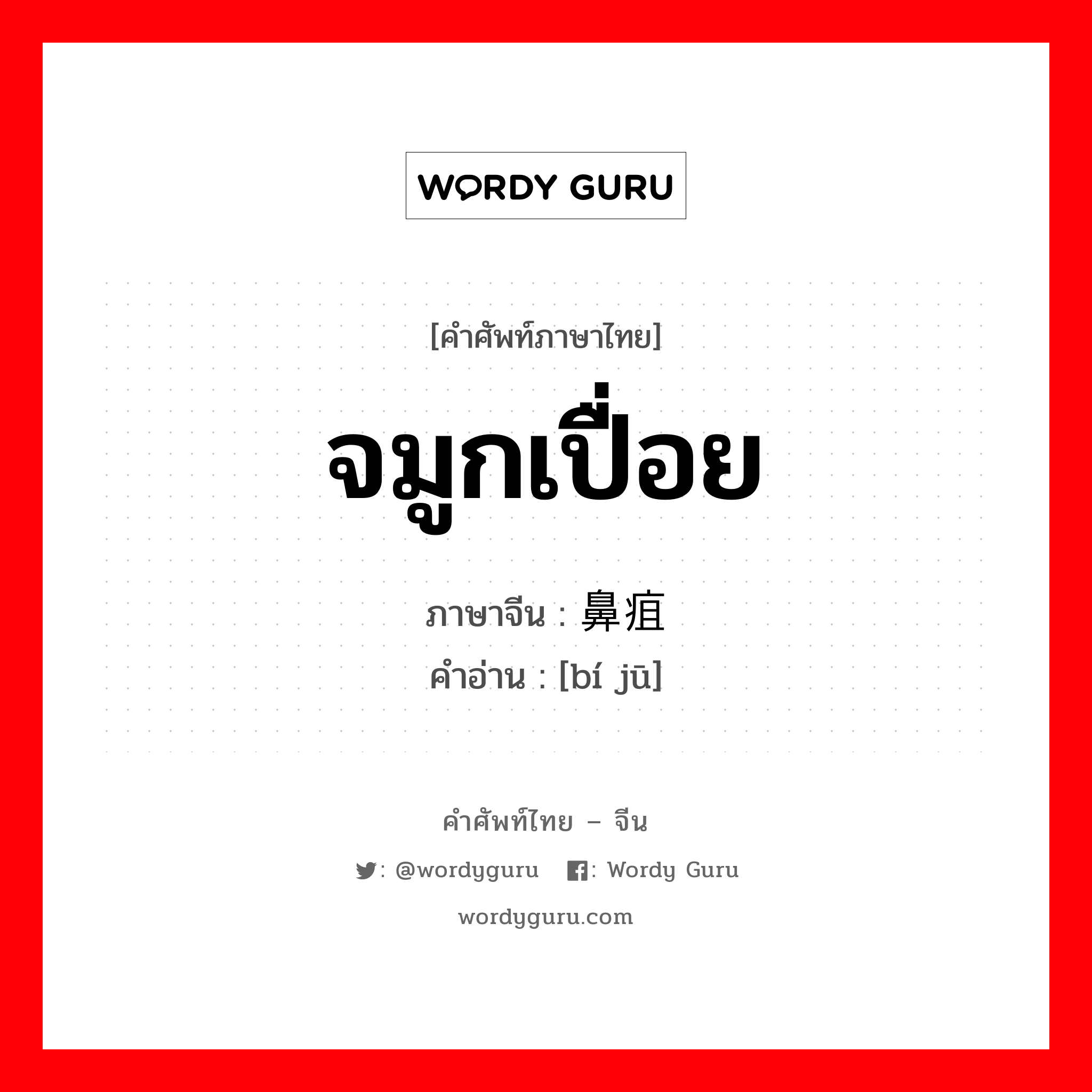 จมูกเปื่อย ภาษาจีนคืออะไร, คำศัพท์ภาษาไทย - จีน จมูกเปื่อย ภาษาจีน 鼻疽 คำอ่าน [bí jū]