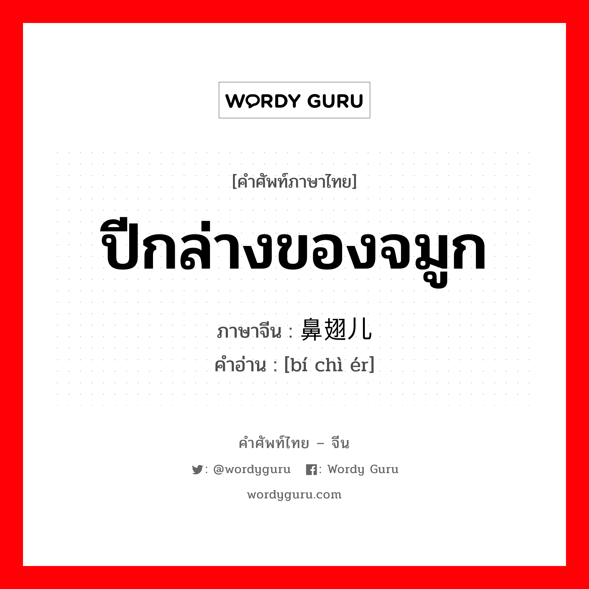 ปีกล่างของจมูก ภาษาจีนคืออะไร, คำศัพท์ภาษาไทย - จีน ปีกล่างของจมูก ภาษาจีน 鼻翅儿 คำอ่าน [bí chì ér]