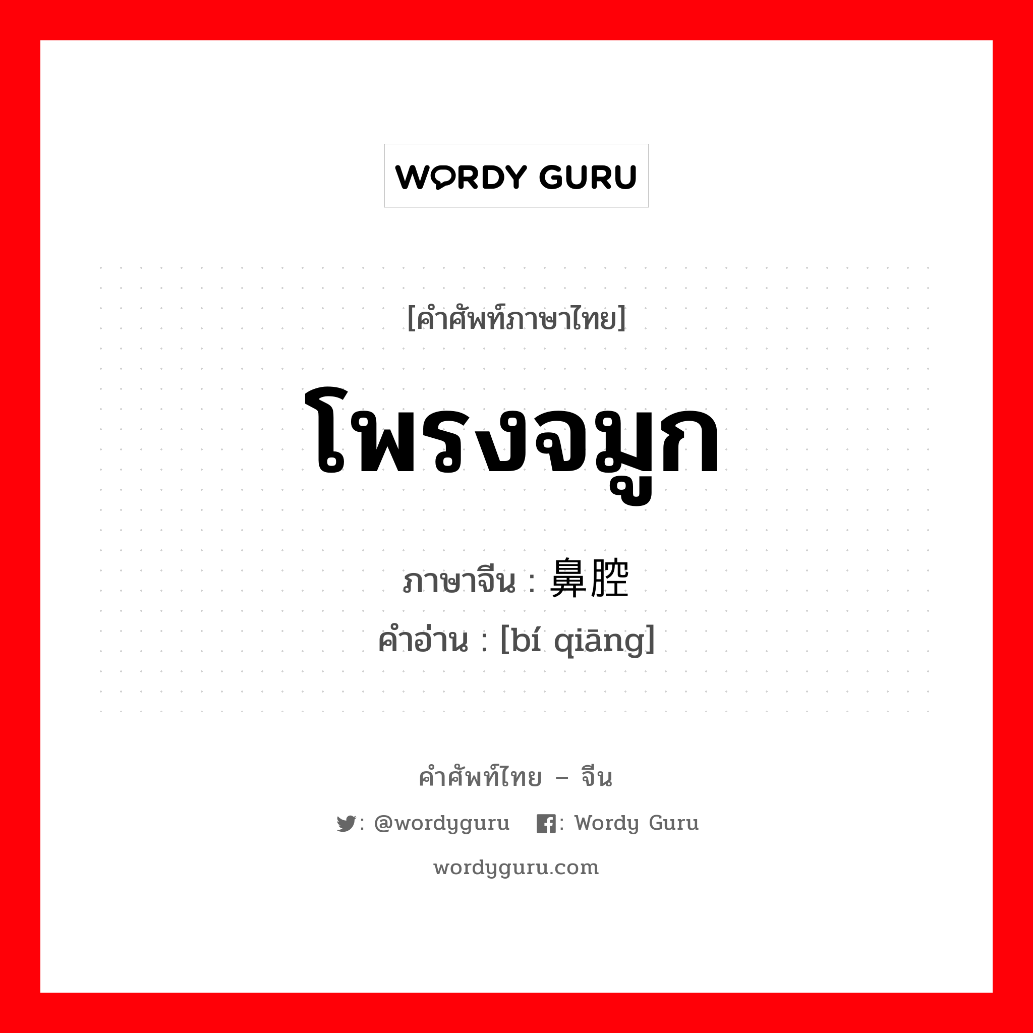 โพรงจมูก ภาษาจีนคืออะไร, คำศัพท์ภาษาไทย - จีน โพรงจมูก ภาษาจีน 鼻腔 คำอ่าน [bí qiāng]