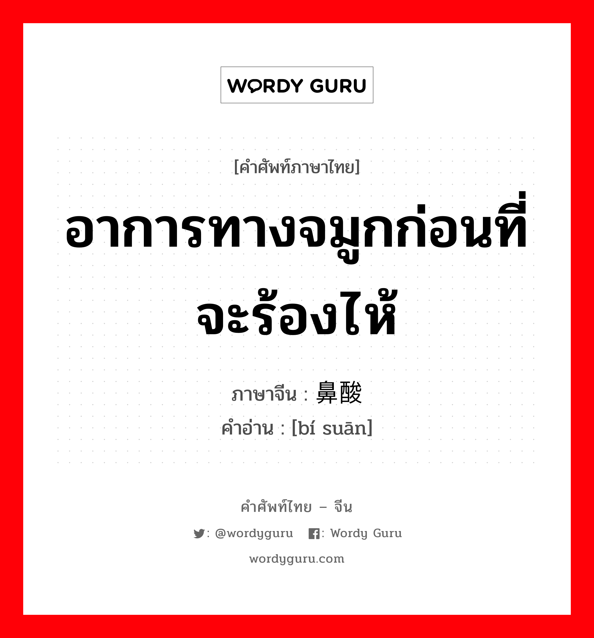 อาการทางจมูกก่อนที่จะร้องไห้ ภาษาจีนคืออะไร, คำศัพท์ภาษาไทย - จีน อาการทางจมูกก่อนที่จะร้องไห้ ภาษาจีน 鼻酸 คำอ่าน [bí suān]