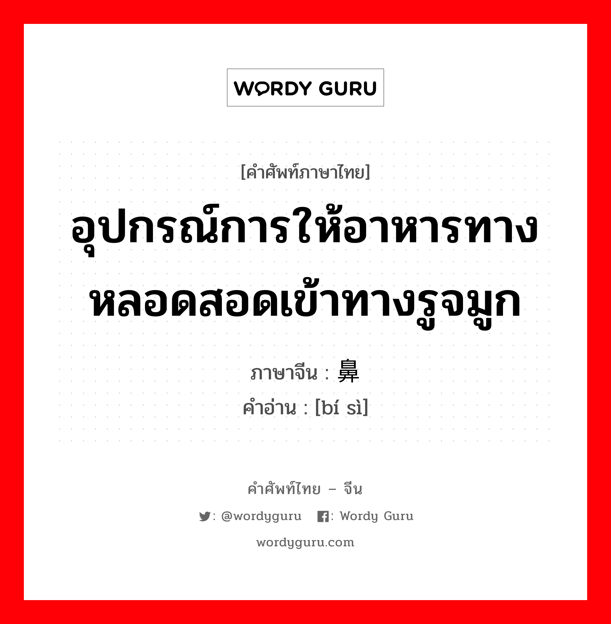 อุปกรณ์การให้อาหารทางหลอดสอดเข้าทางรูจมูก ภาษาจีนคืออะไร, คำศัพท์ภาษาไทย - จีน อุปกรณ์การให้อาหารทางหลอดสอดเข้าทางรูจมูก ภาษาจีน 鼻饲 คำอ่าน [bí sì]