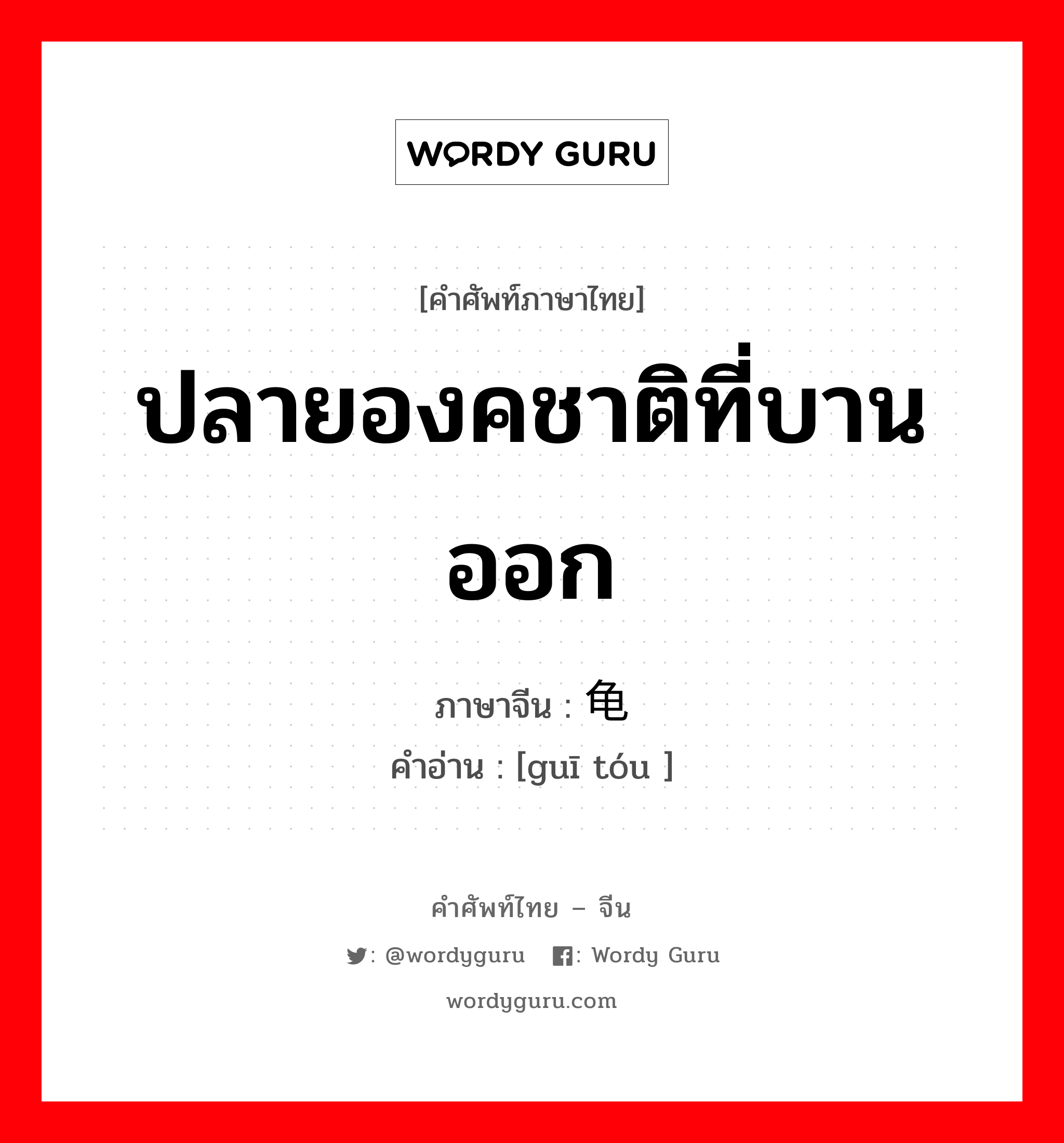 ปลายองคชาติที่บานออก ภาษาจีนคืออะไร, คำศัพท์ภาษาไทย - จีน ปลายองคชาติที่บานออก ภาษาจีน 龟头 คำอ่าน [guī tóu ]