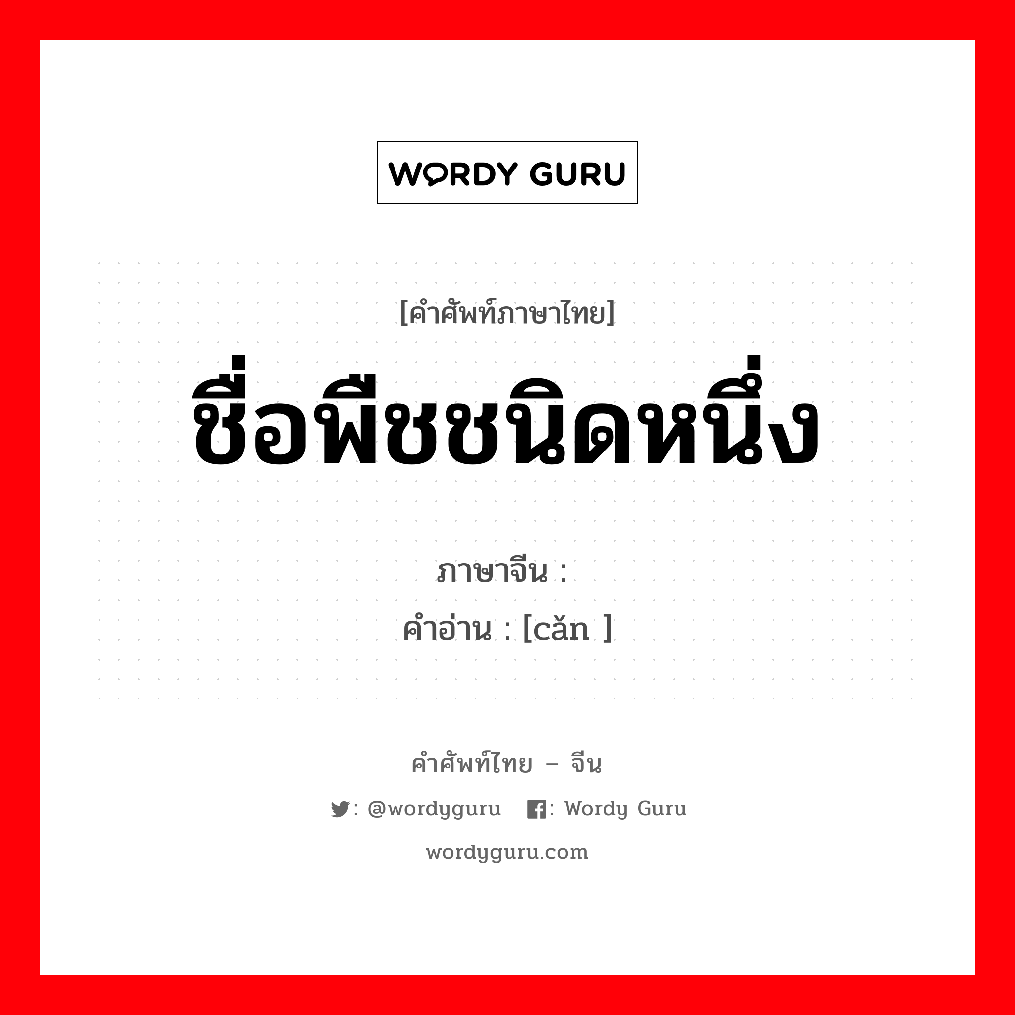 ชื่อพืชชนิดหนึ่ง, ใบรูปกลมรีดอกเป็นพวงช่อรูปหัวคนสีม่วงอมน้ำเงิน รากและก้านรากเข้ายาสมุนไพรได้ ภาษาจีนคืออะไร, คำศัพท์ภาษาไทย - จีน ชื่อพืชชนิดหนึ่ง ภาษาจีน  คำอ่าน [cǎn ]