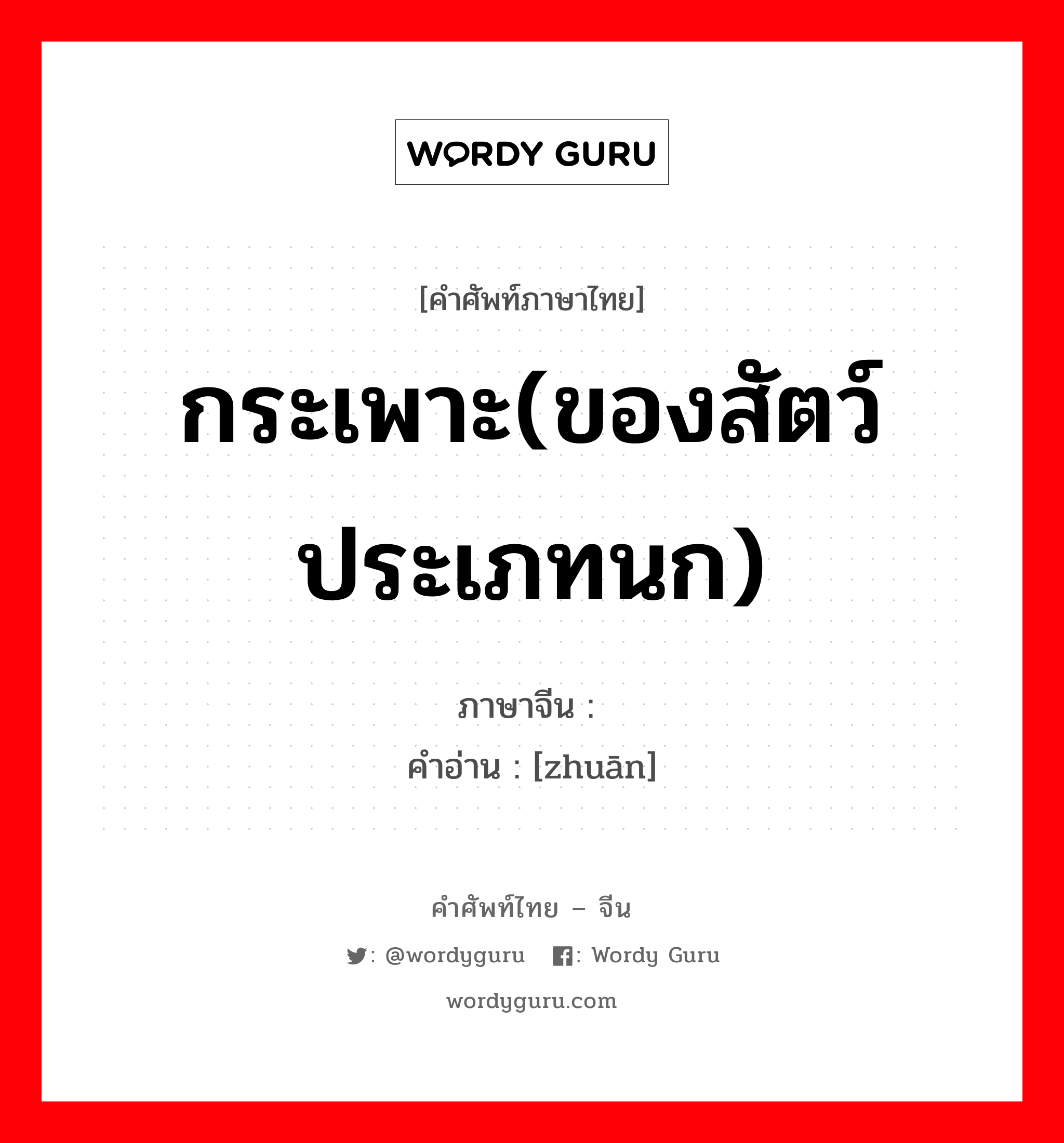 กระเพาะ(ของสัตว์ประเภทนก) ภาษาจีนคืออะไร, คำศัพท์ภาษาไทย - จีน กระเพาะ(ของสัตว์ประเภทนก) ภาษาจีน  คำอ่าน [zhuān]