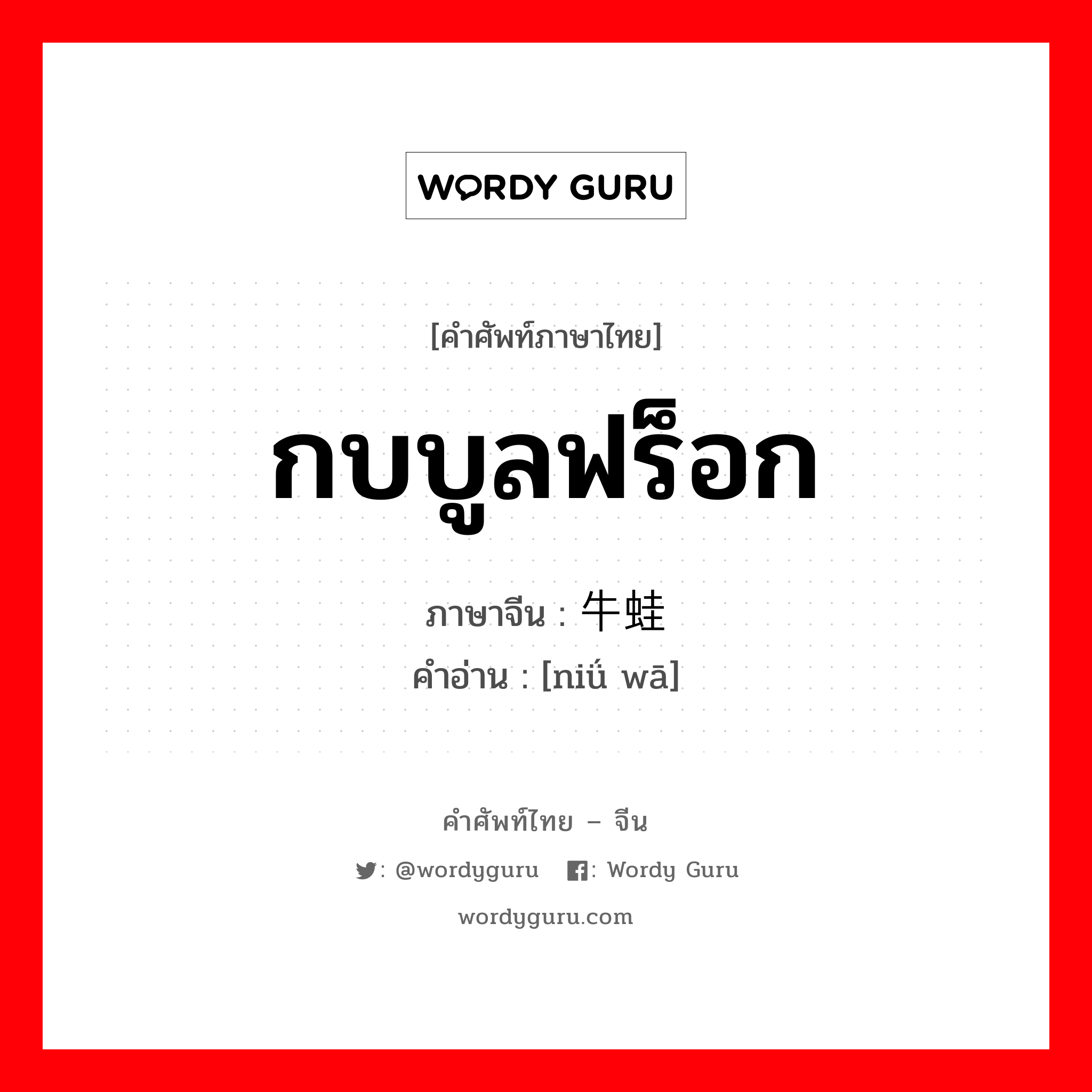 กบบูลฟร็อก ภาษาจีนคืออะไร, คำศัพท์ภาษาไทย - จีน กบบูลฟร็อก ภาษาจีน 牛蛙 คำอ่าน [niǘ wā]