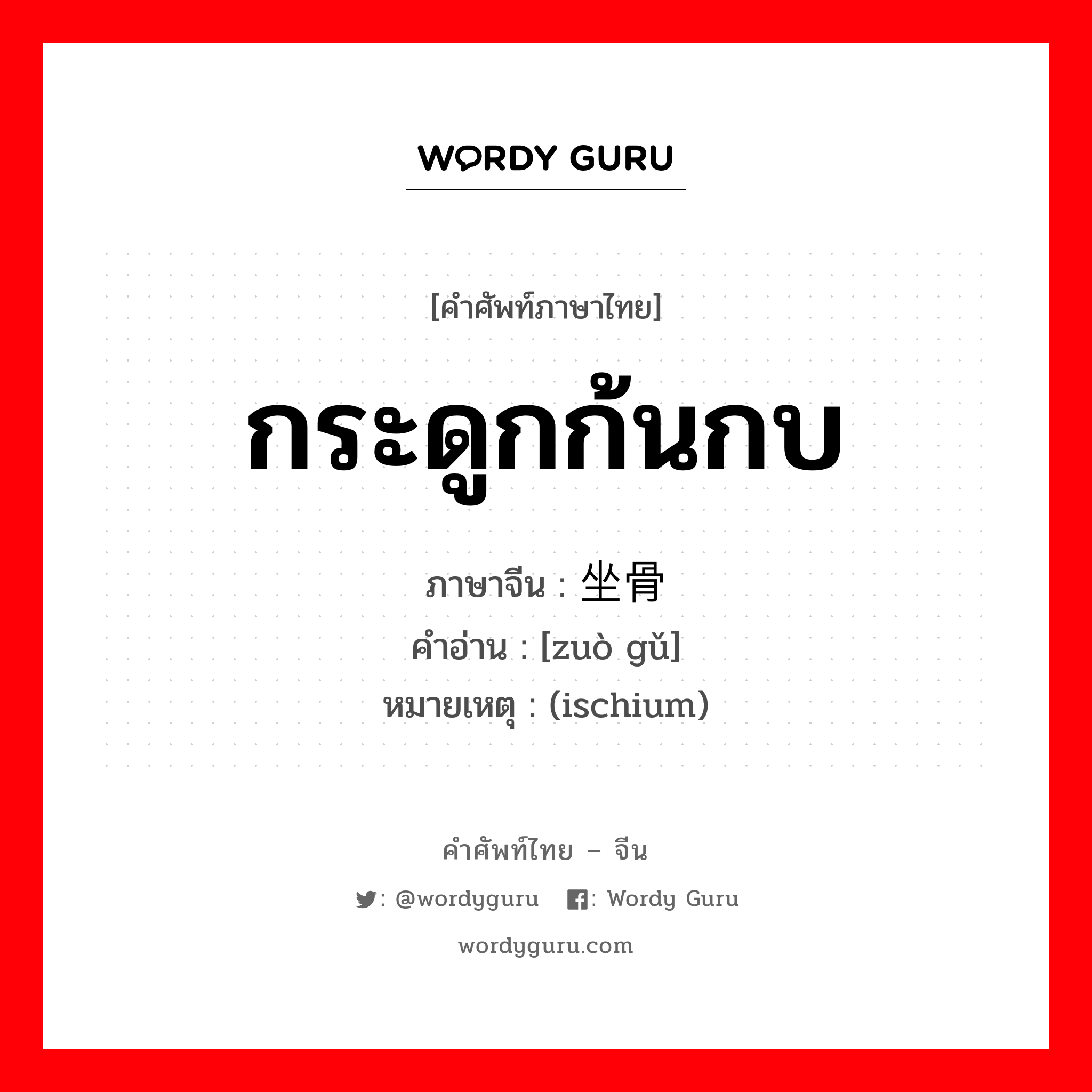 กระดูกก้นกบ ภาษาจีนคืออะไร, คำศัพท์ภาษาไทย - จีน กระดูกก้นกบ ภาษาจีน 坐骨 คำอ่าน [zuò gǔ] หมายเหตุ (ischium)