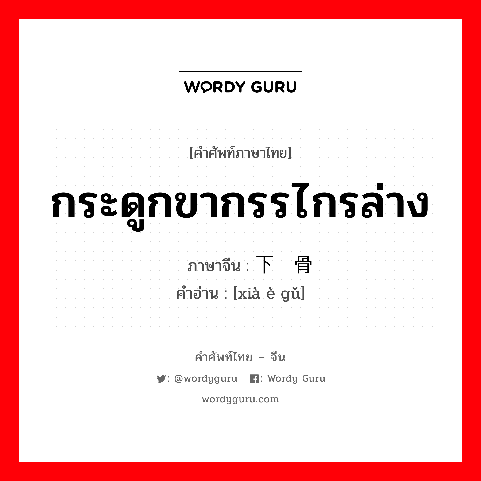 กระดูกขากรรไกรล่าง ภาษาจีนคืออะไร, คำศัพท์ภาษาไทย - จีน กระดูกขากรรไกรล่าง ภาษาจีน 下颚骨 คำอ่าน [xià è gǔ]