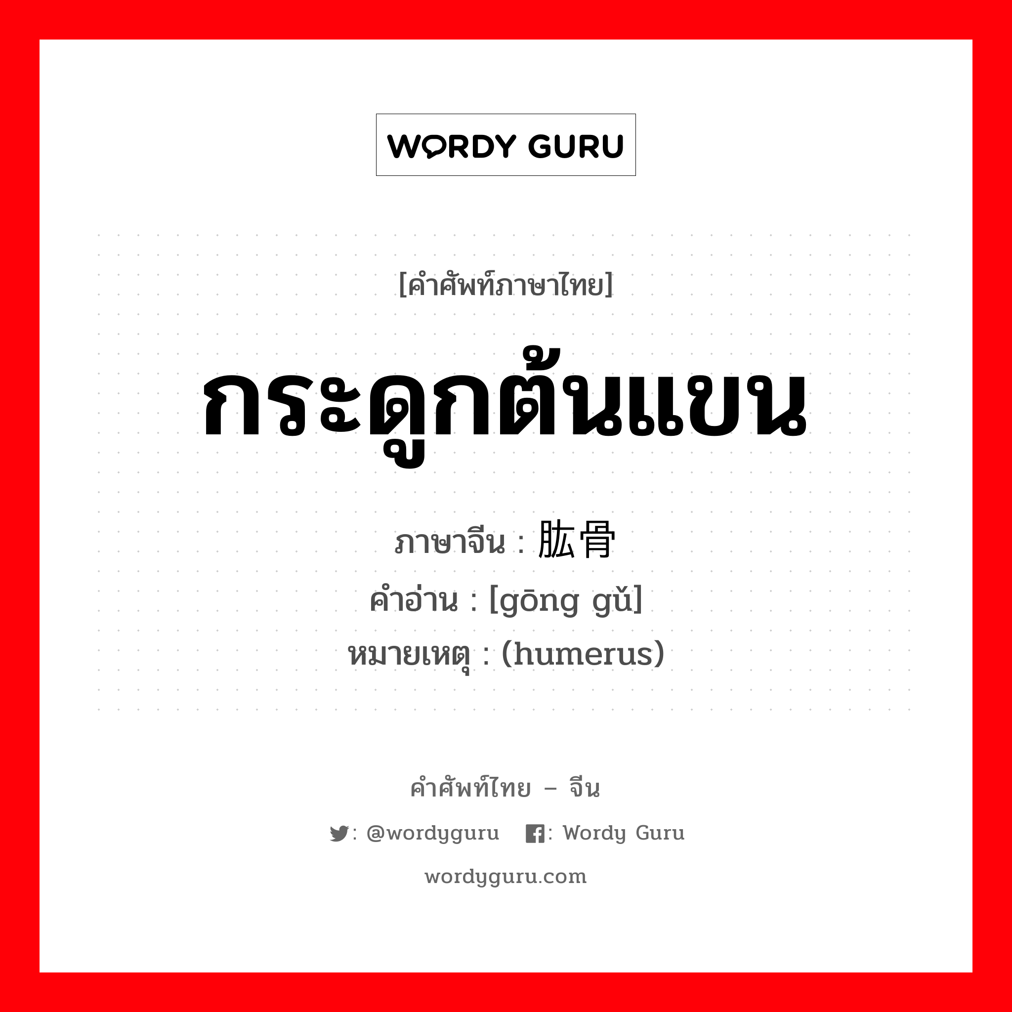 กระดูกต้นแขน ภาษาจีนคืออะไร, คำศัพท์ภาษาไทย - จีน กระดูกต้นแขน ภาษาจีน 肱骨 คำอ่าน [gōng gǔ] หมายเหตุ (humerus)