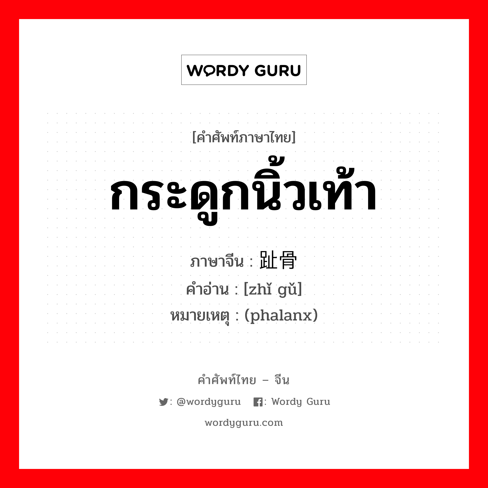 กระดูกนิ้วเท้า ภาษาจีนคืออะไร, คำศัพท์ภาษาไทย - จีน กระดูกนิ้วเท้า ภาษาจีน 趾骨 คำอ่าน [zhǐ gǔ] หมายเหตุ (phalanx)