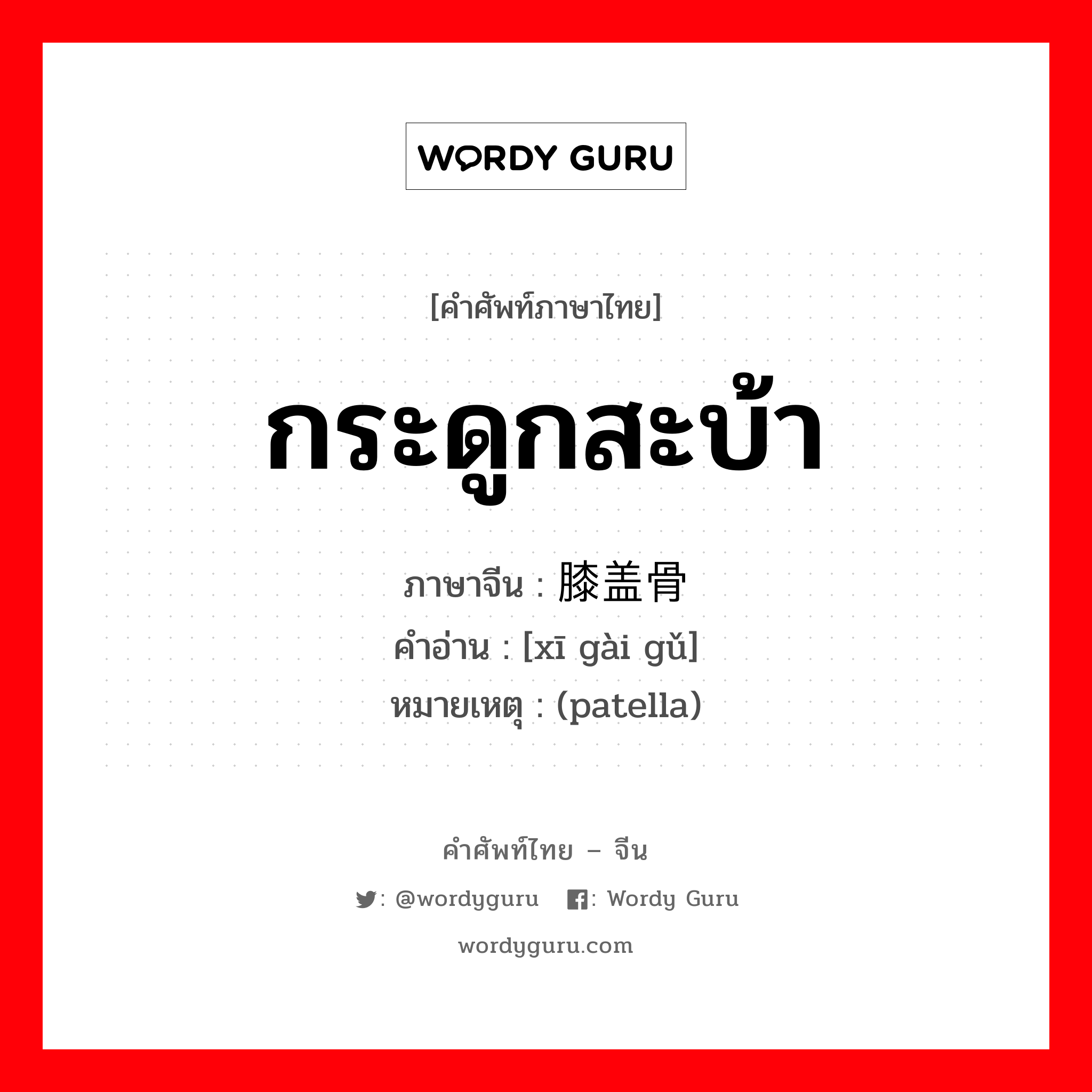 กระดูกสะบ้า ภาษาจีนคืออะไร, คำศัพท์ภาษาไทย - จีน กระดูกสะบ้า ภาษาจีน 膝盖骨 คำอ่าน [xī gài gǔ] หมายเหตุ (patella)