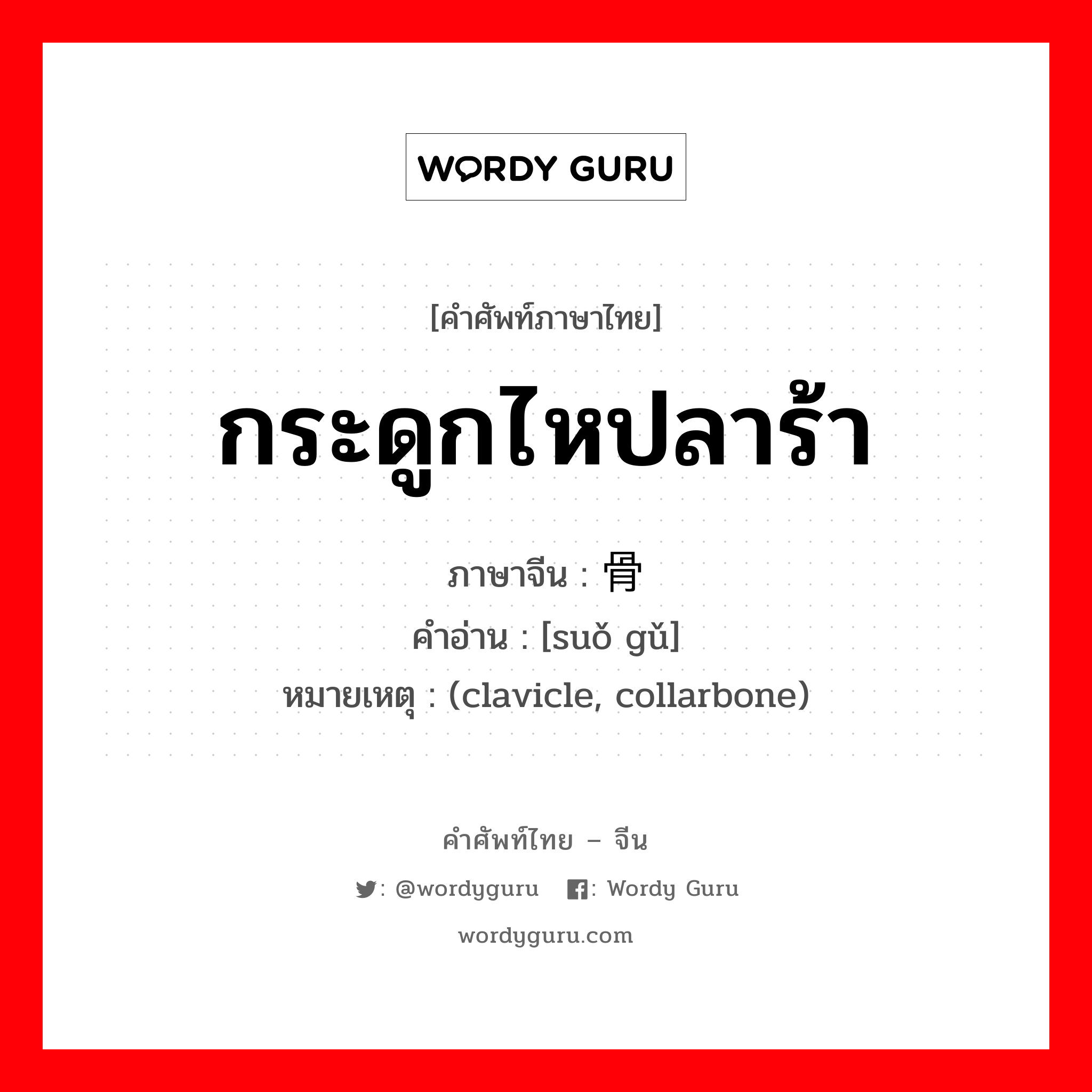 กระดูกไหปลาร้า ภาษาจีนคืออะไร, คำศัพท์ภาษาไทย - จีน กระดูกไหปลาร้า ภาษาจีน 锁骨 คำอ่าน [suǒ gǔ] หมายเหตุ (clavicle, collarbone)