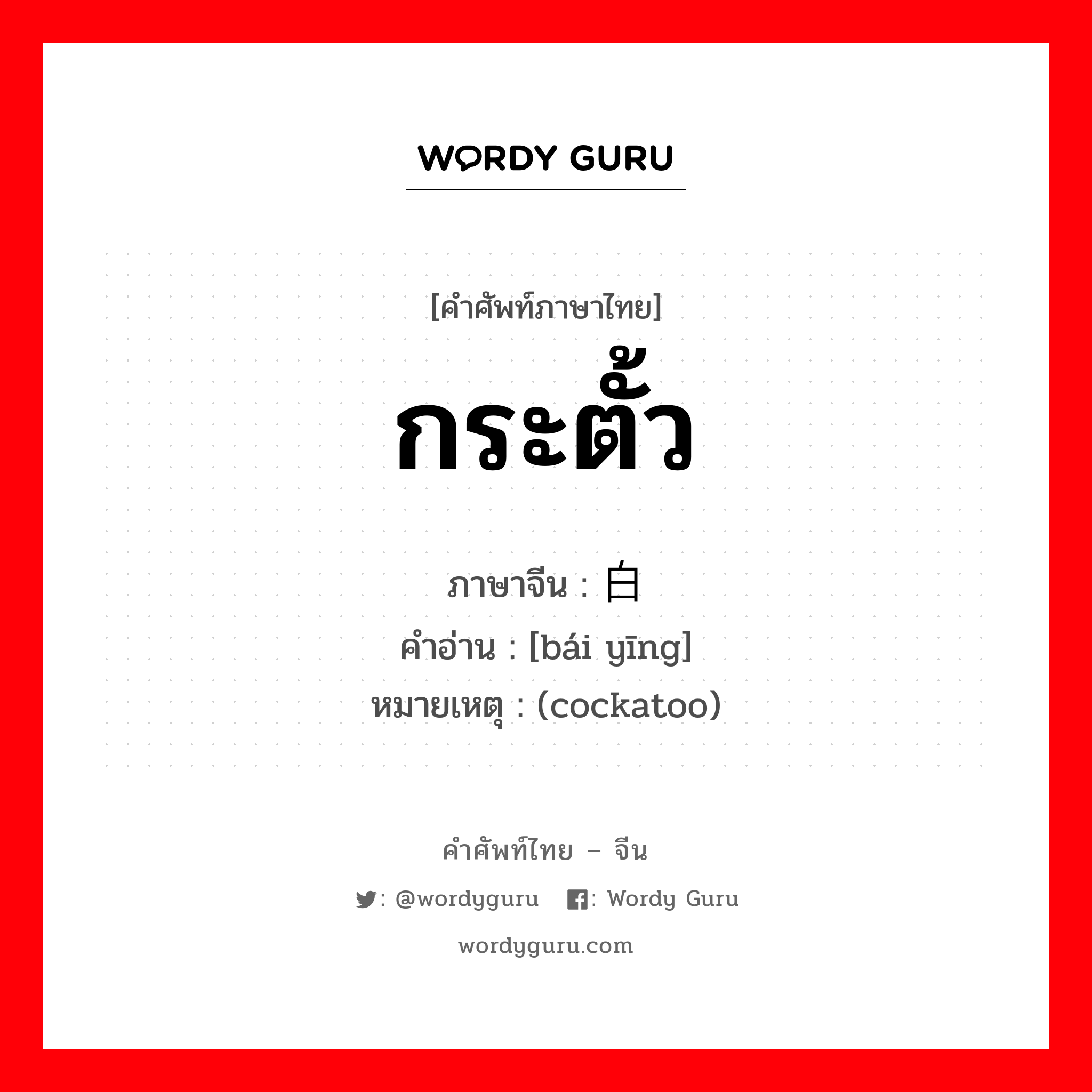 กระตั้ว ภาษาจีนคืออะไร, คำศัพท์ภาษาไทย - จีน กระตั้ว ภาษาจีน 白鹦 คำอ่าน [bái yīng] หมายเหตุ (cockatoo)