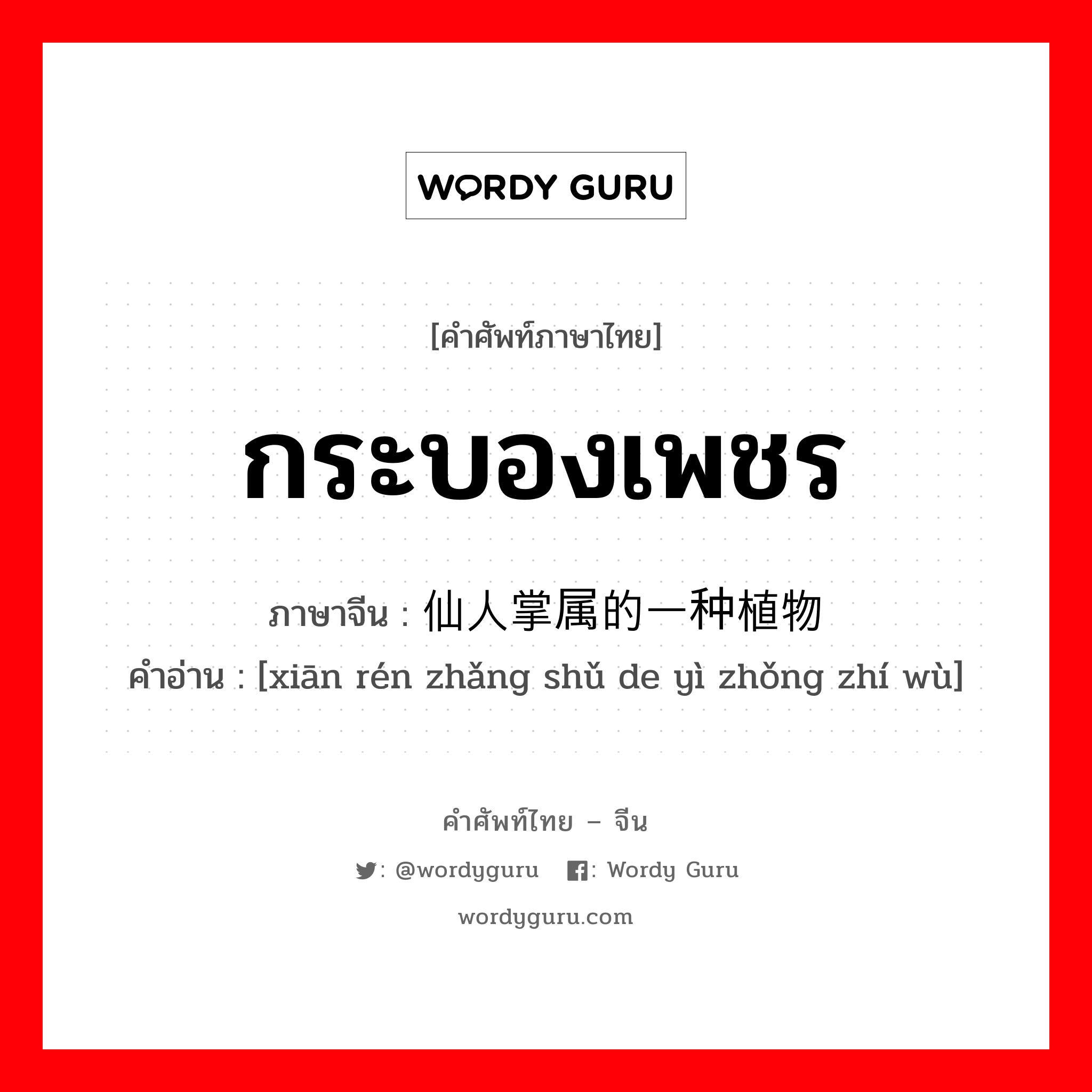 กระบองเพชร ภาษาจีนคืออะไร, คำศัพท์ภาษาไทย - จีน กระบองเพชร ภาษาจีน 仙人掌属的一种植物 คำอ่าน [xiān rén zhǎng shǔ de yì zhǒng zhí wù]