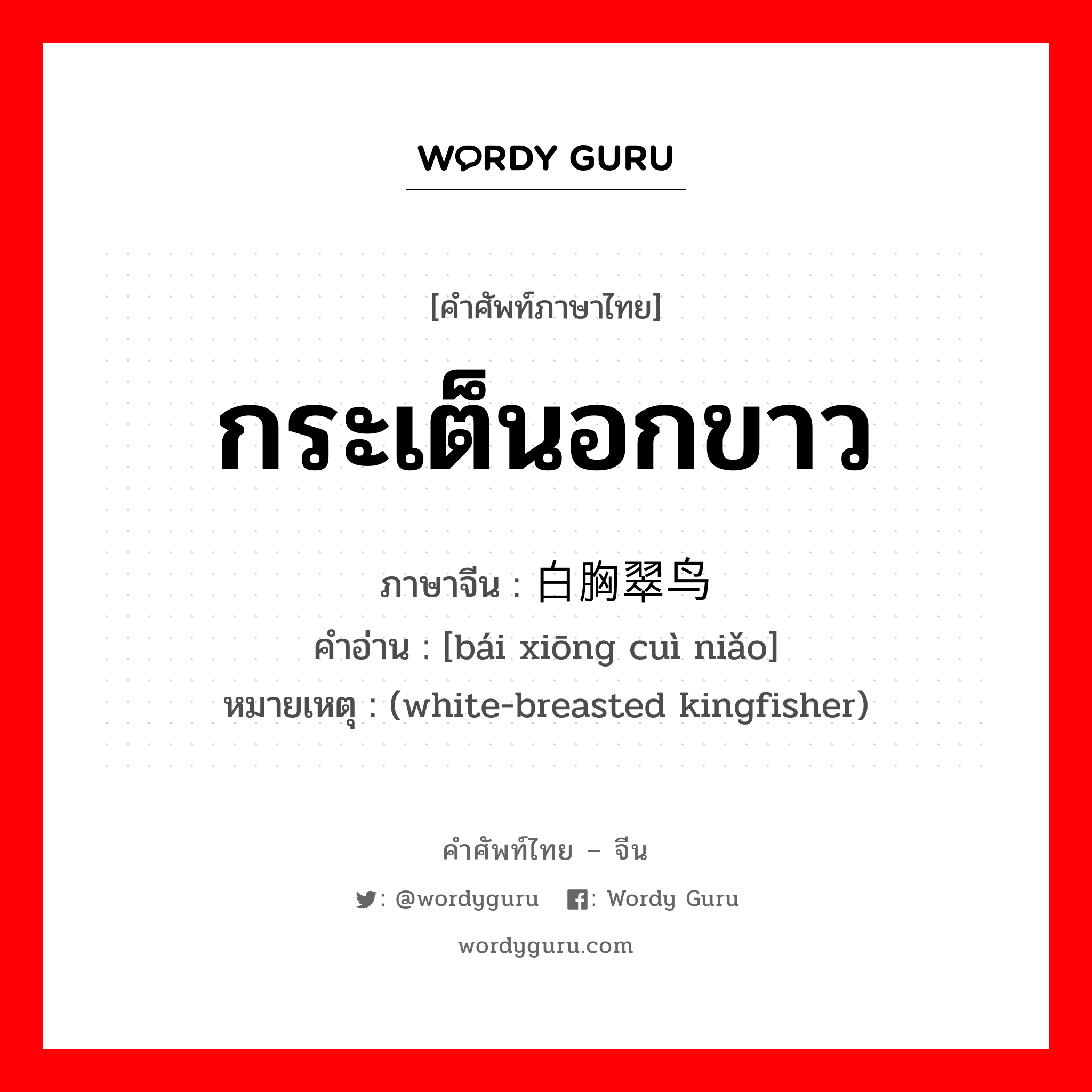 กระเต็นอกขาว ภาษาจีนคืออะไร, คำศัพท์ภาษาไทย - จีน กระเต็นอกขาว ภาษาจีน 白胸翠鸟 คำอ่าน [bái xiōng cuì niǎo] หมายเหตุ (white-breasted kingfisher)