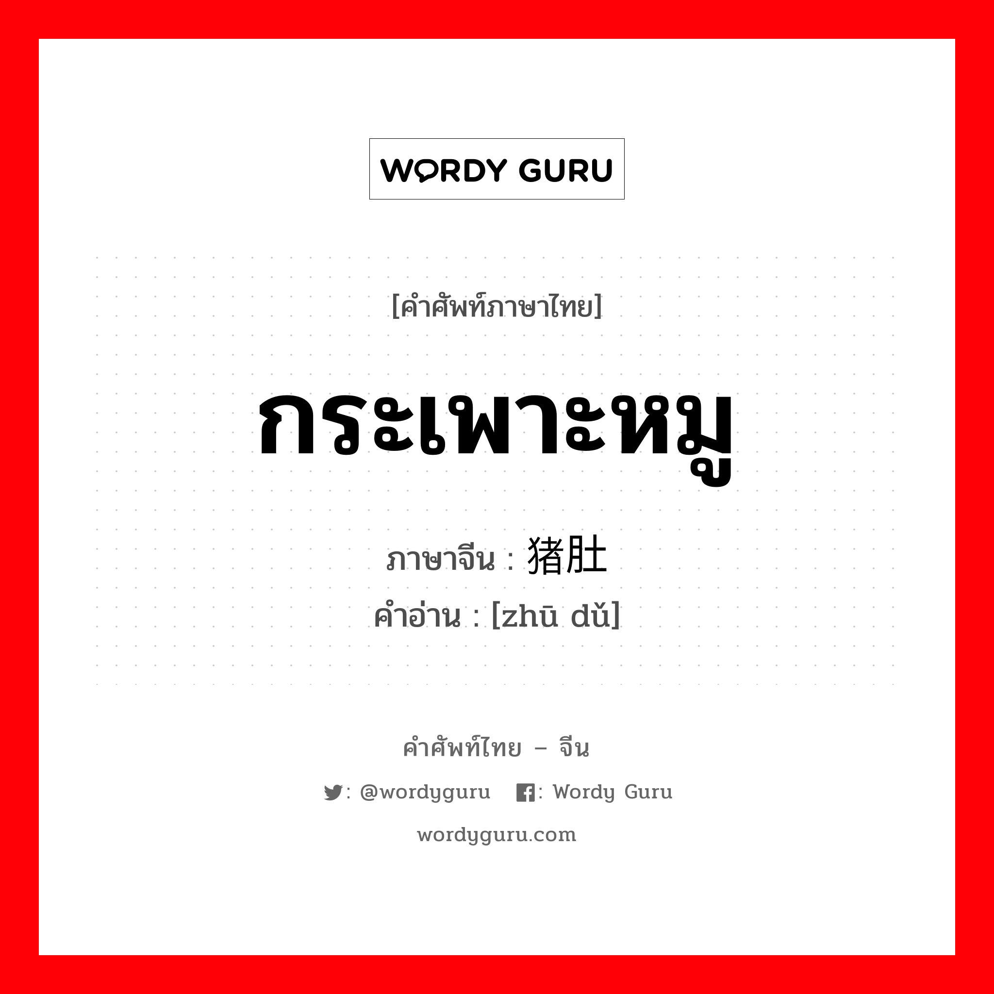 กระเพาะหมู ภาษาจีนคืออะไร, คำศัพท์ภาษาไทย - จีน กระเพาะหมู ภาษาจีน 猪肚 คำอ่าน [zhū dǔ]