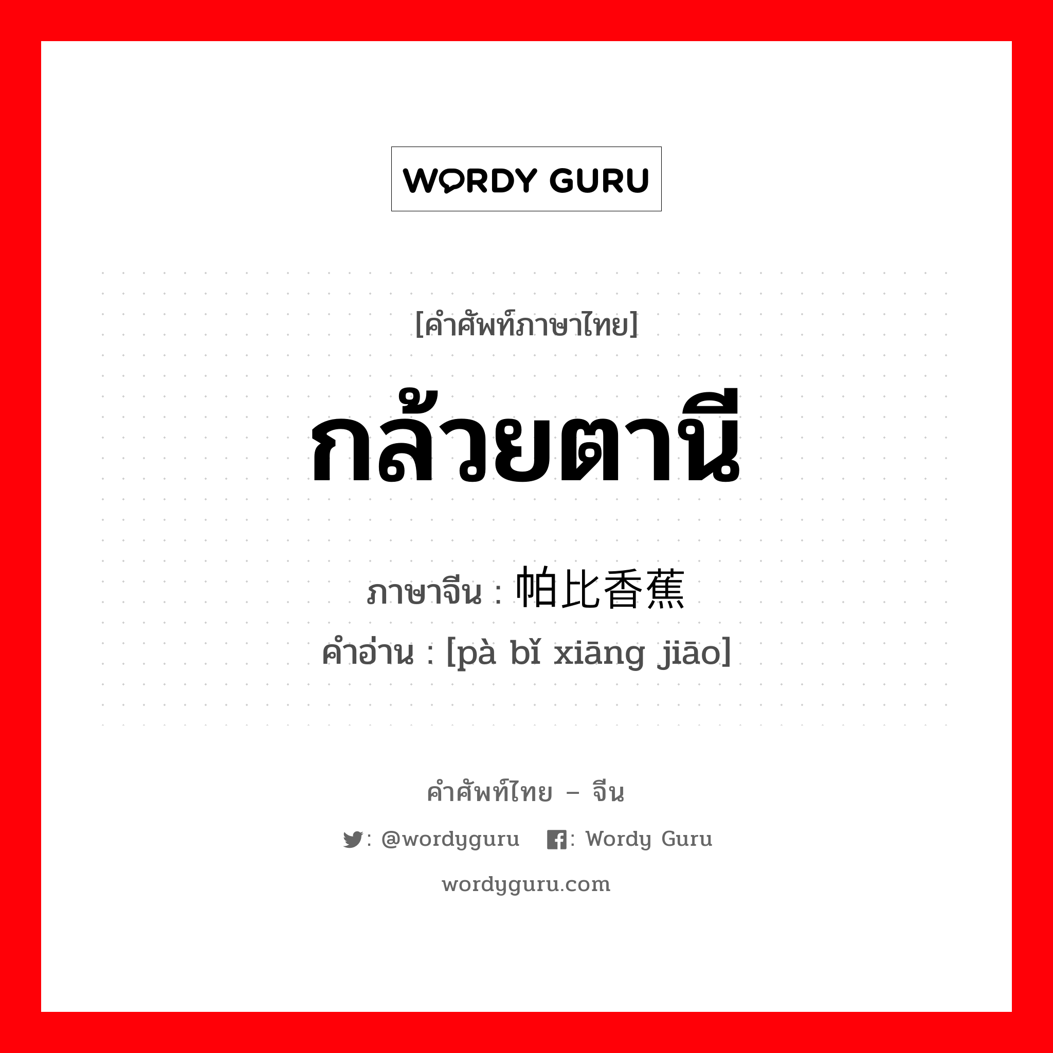 กล้วยตานี ภาษาจีนคืออะไร, คำศัพท์ภาษาไทย - จีน กล้วยตานี ภาษาจีน 帕比香蕉 คำอ่าน [pà bǐ xiāng jiāo]