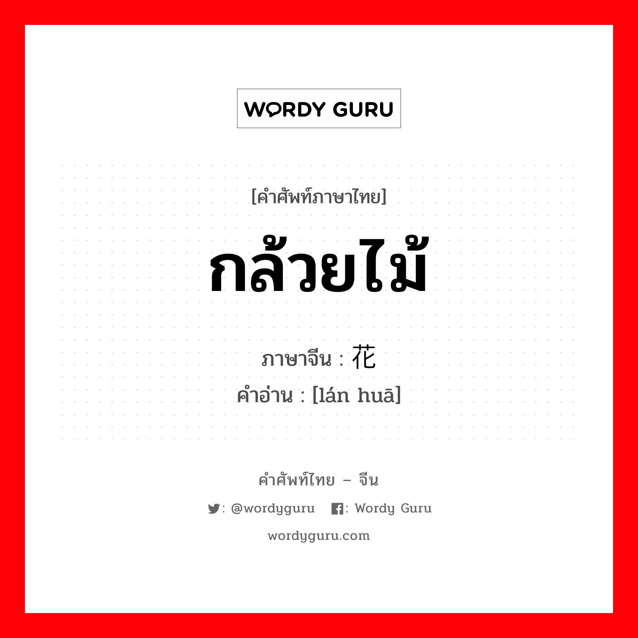 กล้วยไม้ ภาษาจีนคืออะไร, คำศัพท์ภาษาไทย - จีน กล้วยไม้ ภาษาจีน 兰花 คำอ่าน [lán huā]