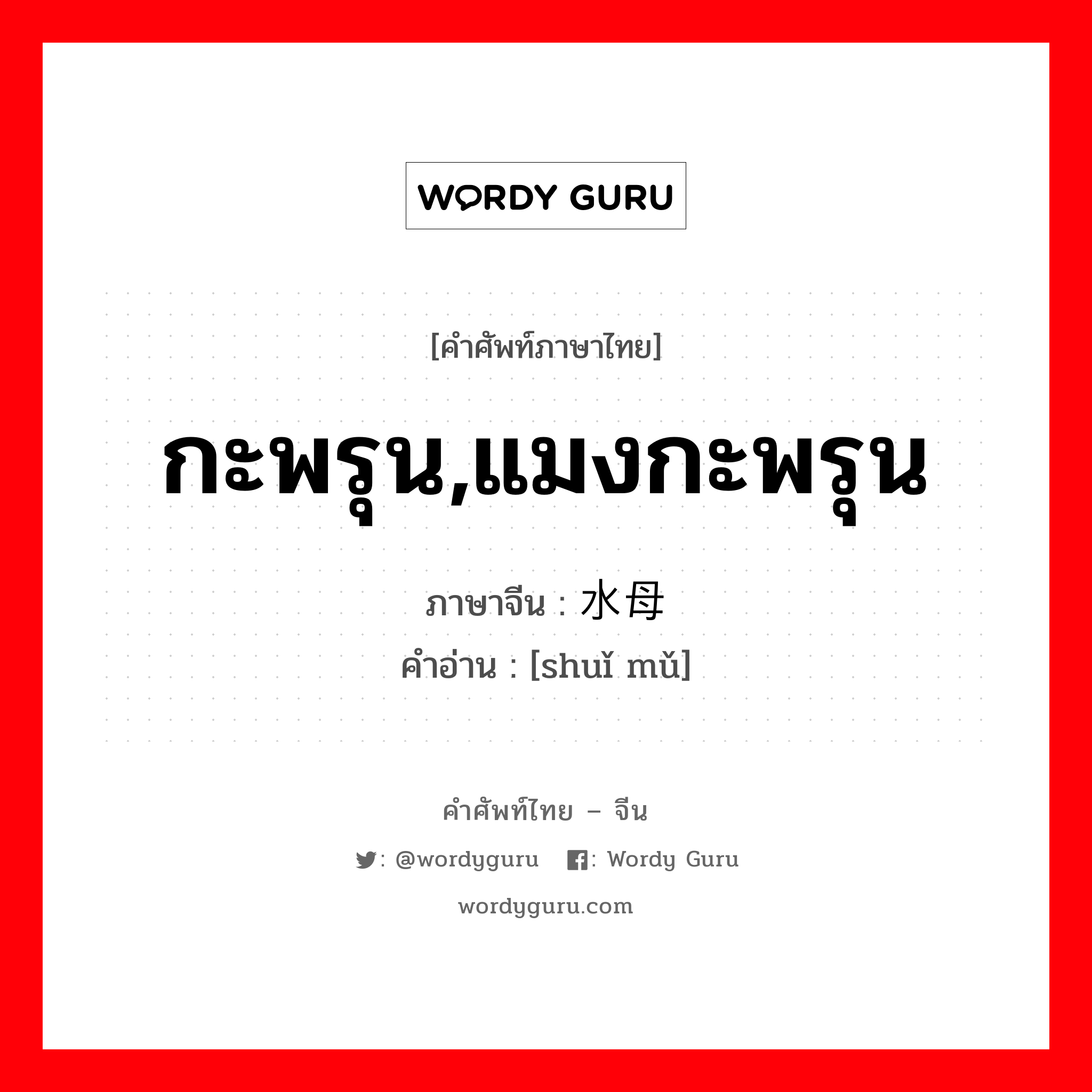 กะพรุน,แมงกะพรุน ภาษาจีนคืออะไร, คำศัพท์ภาษาไทย - จีน กะพรุน,แมงกะพรุน ภาษาจีน 水母 คำอ่าน [shuǐ mǔ]