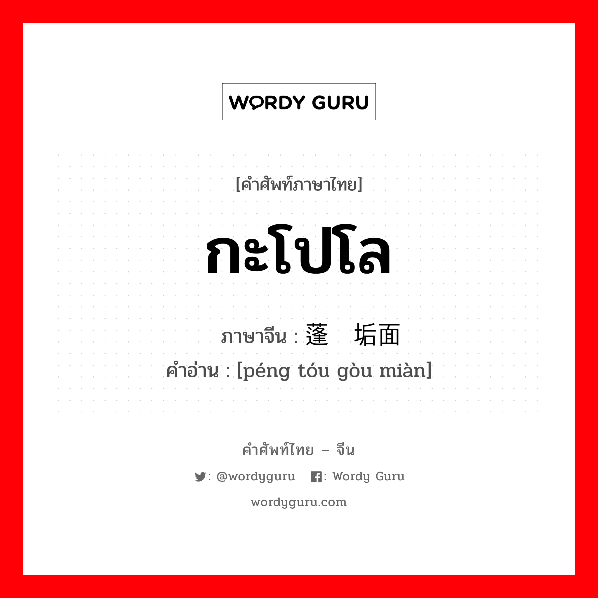 กะโปโล ภาษาจีนคืออะไร, คำศัพท์ภาษาไทย - จีน กะโปโล ภาษาจีน 蓬头垢面 คำอ่าน [péng tóu gòu miàn]