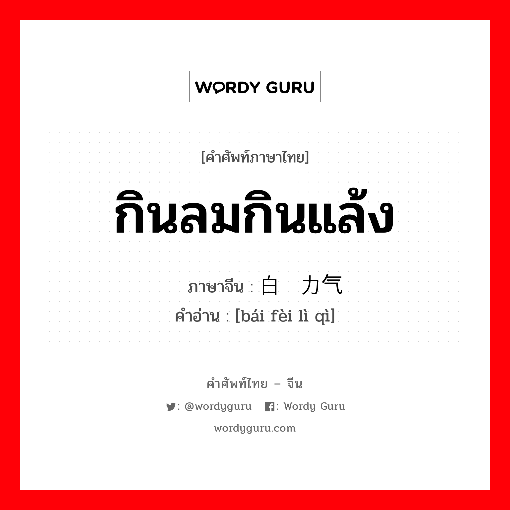 กินลมกินแล้ง ภาษาจีนคืออะไร, คำศัพท์ภาษาไทย - จีน กินลมกินแล้ง ภาษาจีน 白费力气 คำอ่าน [bái fèi lì qì]