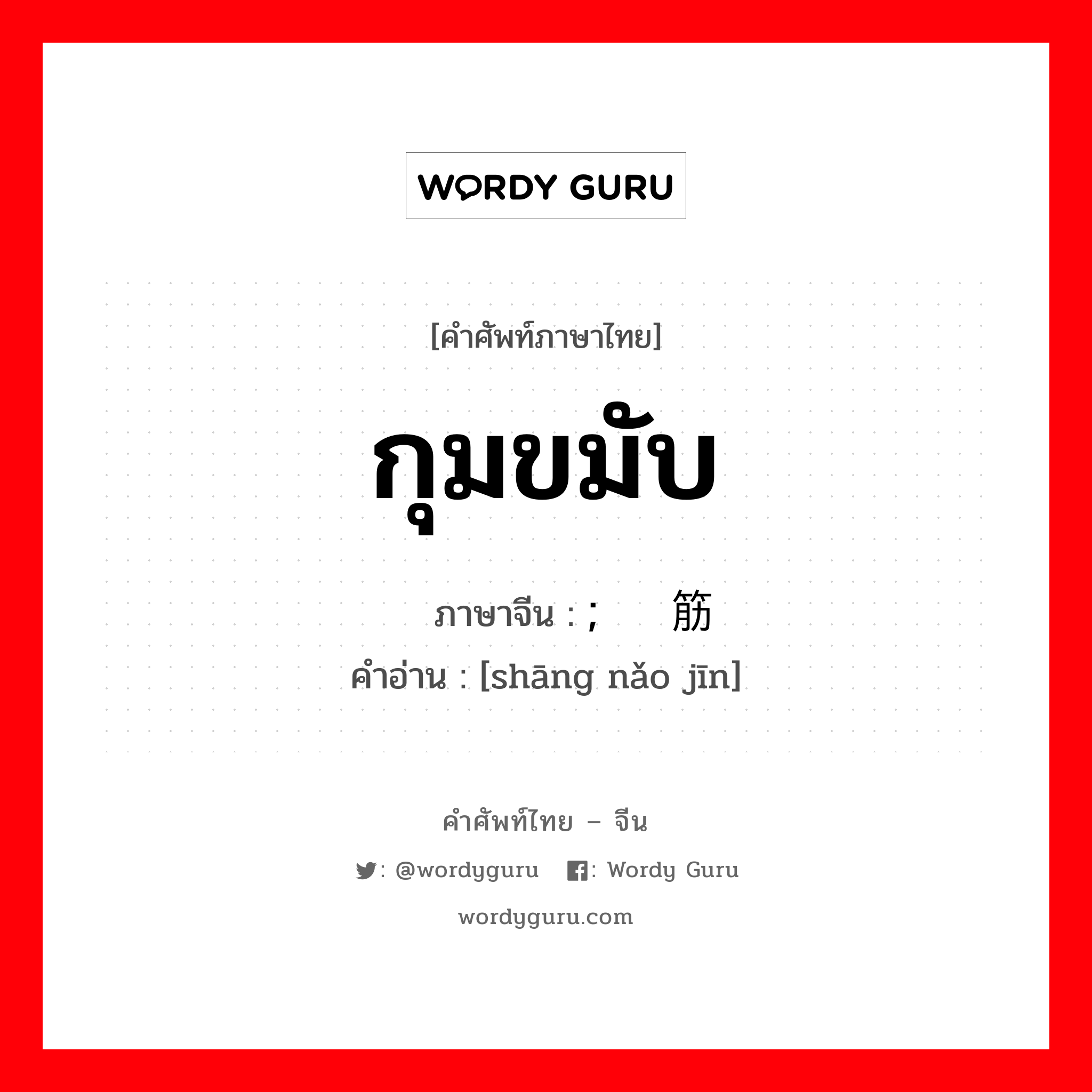 กุมขมับ ภาษาจีนคืออะไร, คำศัพท์ภาษาไทย - จีน กุมขมับ ภาษาจีน ; 伤脑筋 คำอ่าน [shāng nǎo jīn]