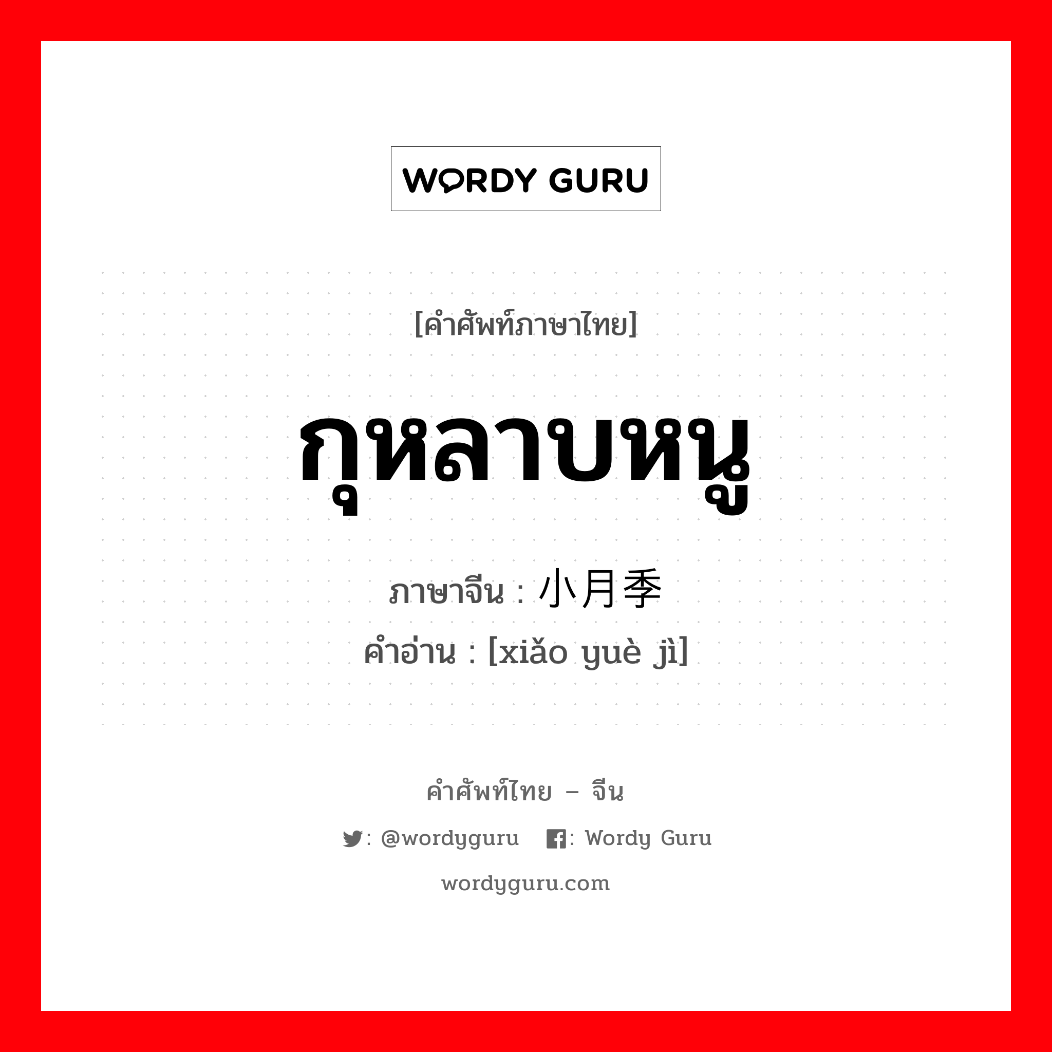 กุหลาบหนู ภาษาจีนคืออะไร, คำศัพท์ภาษาไทย - จีน กุหลาบหนู ภาษาจีน 小月季 คำอ่าน [xiǎo yuè jì]