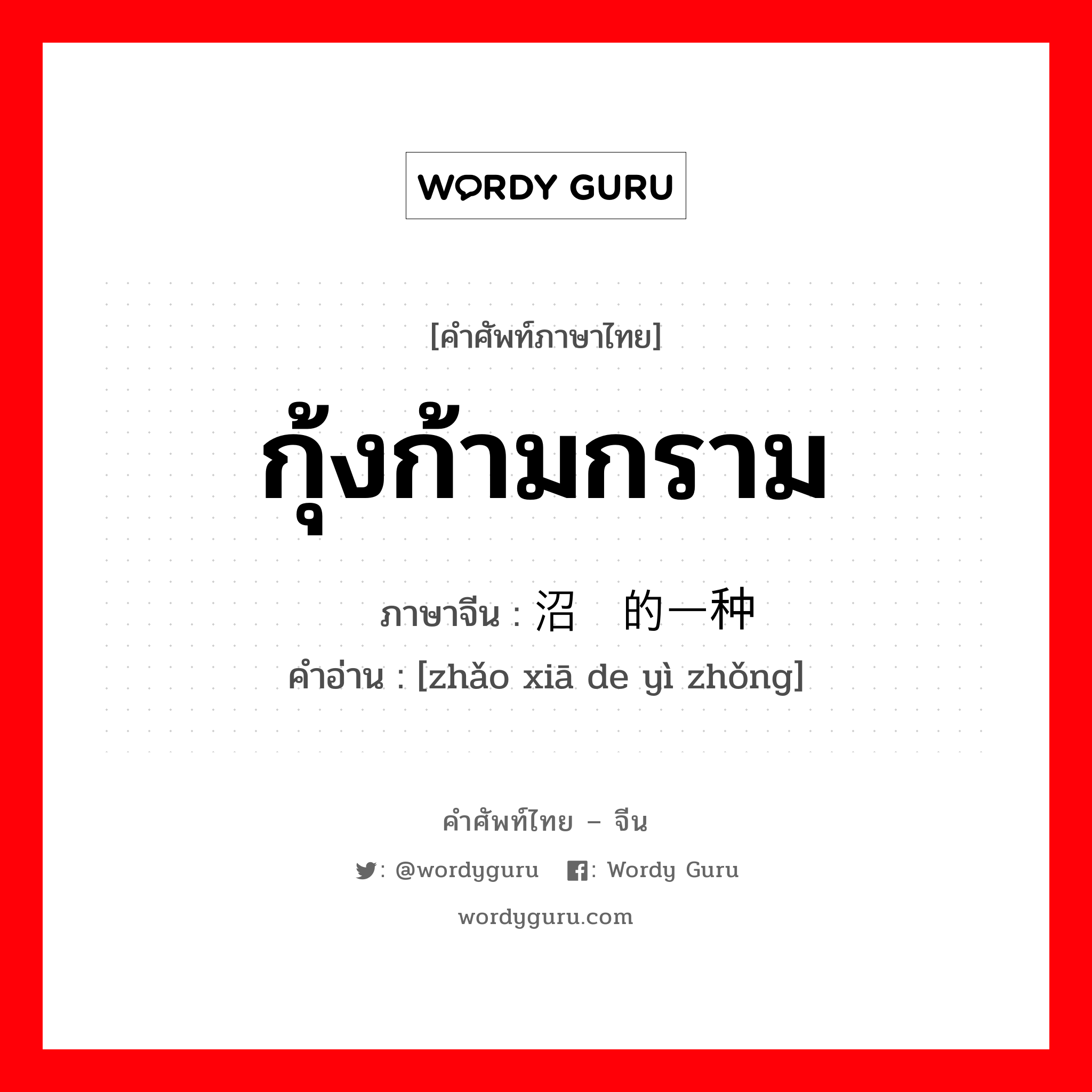 กุ้งก้ามกราม ภาษาจีนคืออะไร, คำศัพท์ภาษาไทย - จีน กุ้งก้ามกราม ภาษาจีน 沼虾的一种 คำอ่าน [zhǎo xiā de yì zhǒng]