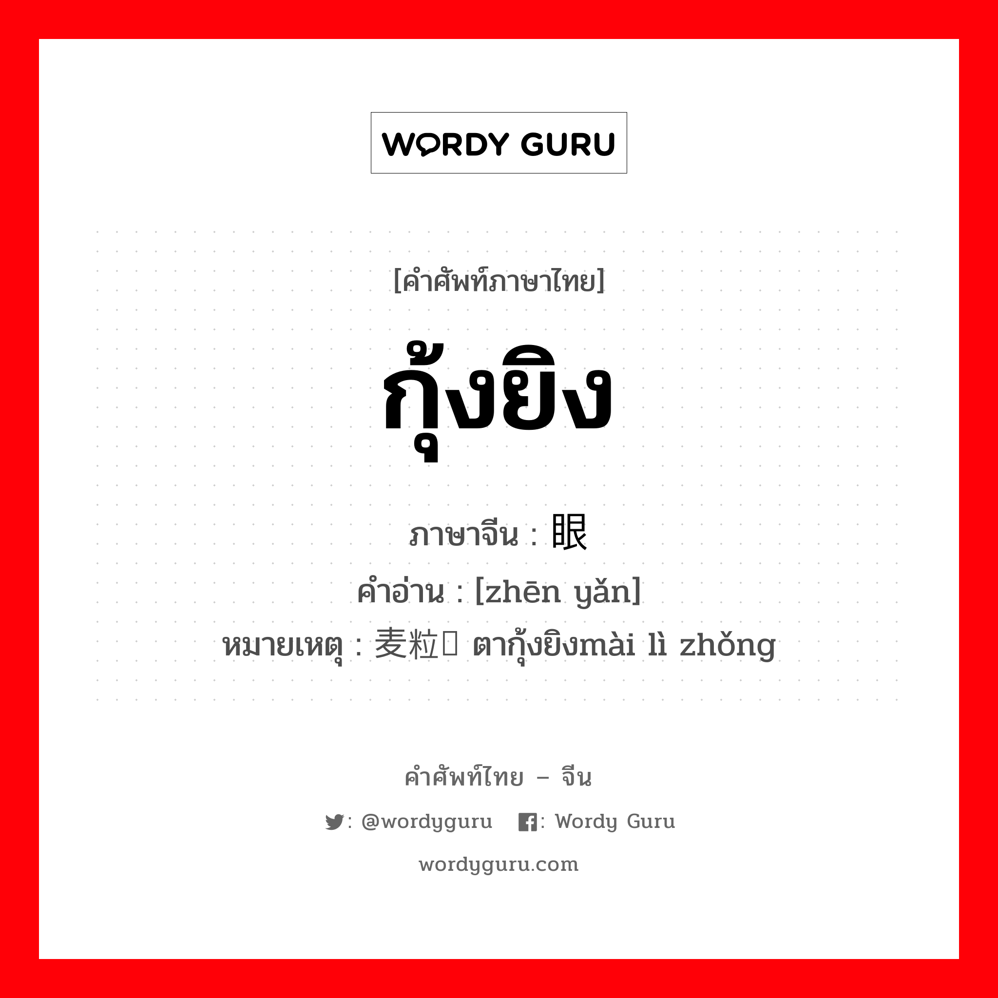 กุ้งยิง ภาษาจีนคืออะไร, คำศัพท์ภาษาไทย - จีน กุ้งยิง ภาษาจีน 针眼 คำอ่าน [zhēn yǎn] หมายเหตุ 麦粒肿 ตากุ้งยิงmài lì zhǒng