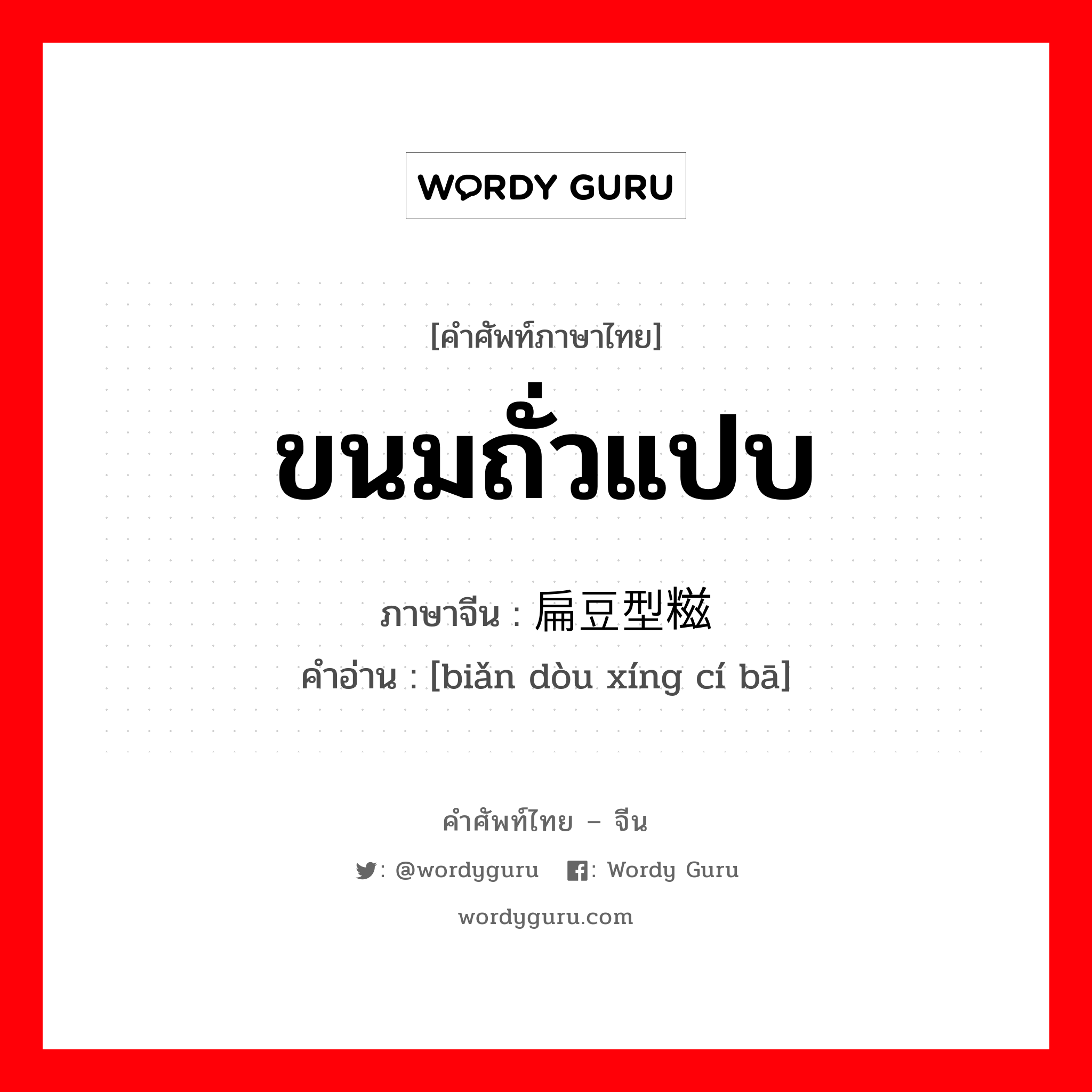 ขนมถั่วแปบ ภาษาจีนคืออะไร, คำศัพท์ภาษาไทย - จีน ขนมถั่วแปบ ภาษาจีน 扁豆型糍粑 คำอ่าน [biǎn dòu xíng cí bā]