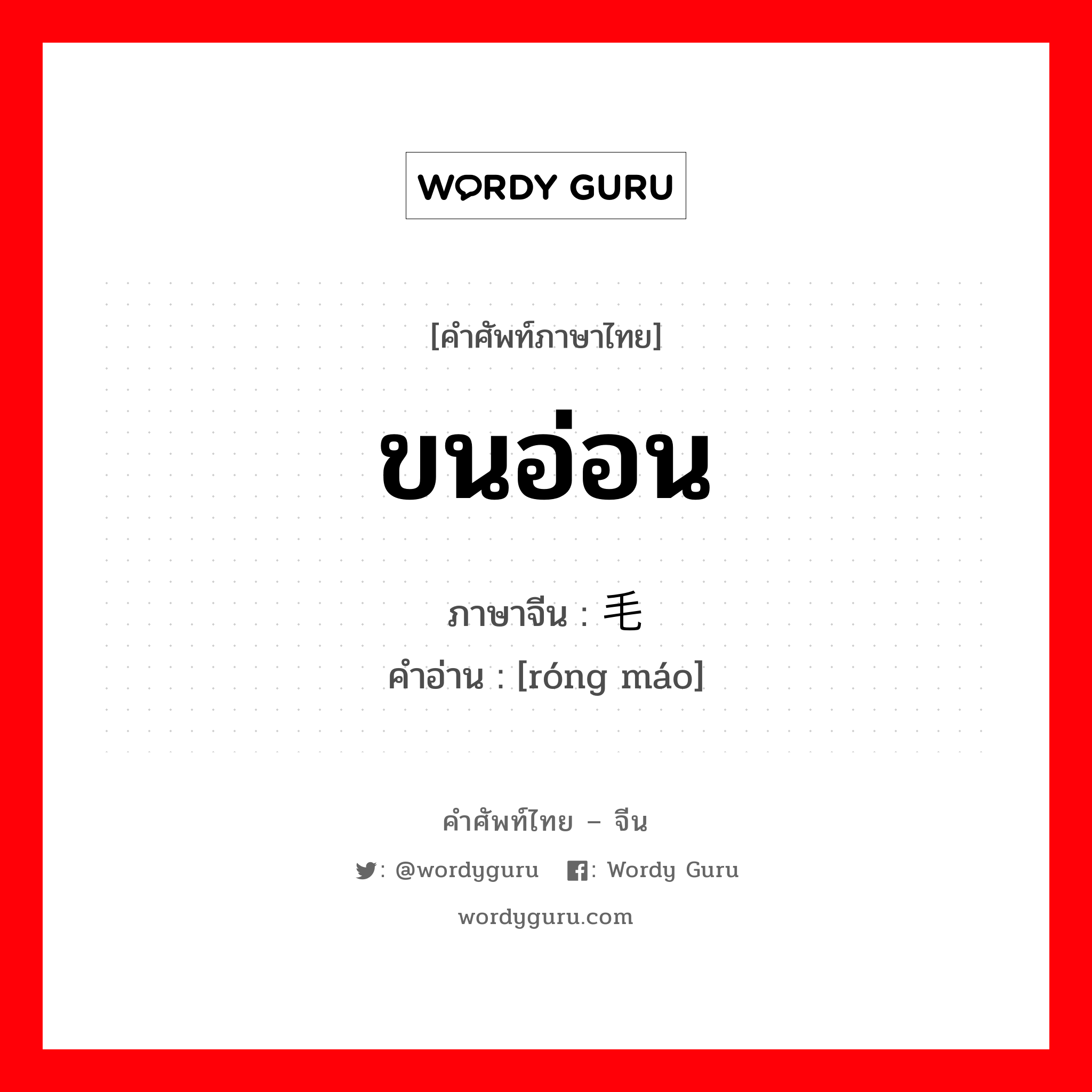 ขนอ่อน ภาษาจีนคืออะไร, คำศัพท์ภาษาไทย - จีน ขนอ่อน ภาษาจีน 绒毛 คำอ่าน [róng máo]