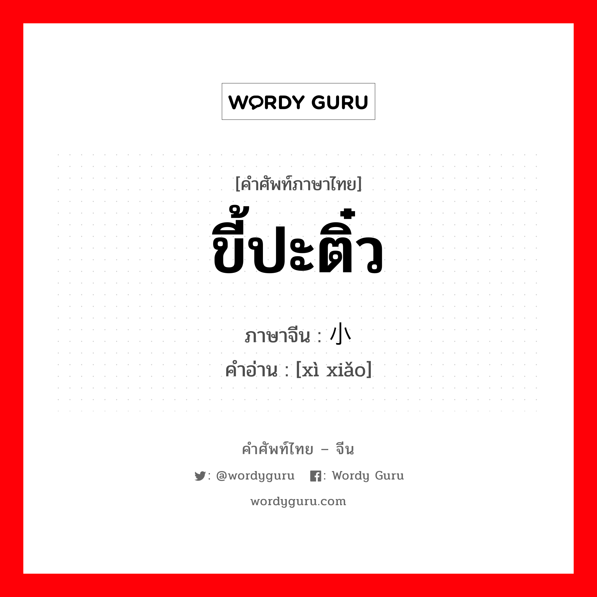 ขี้ปะติ๋ว ภาษาจีนคืออะไร, คำศัพท์ภาษาไทย - จีน ขี้ปะติ๋ว ภาษาจีน 细小 คำอ่าน [xì xiǎo]