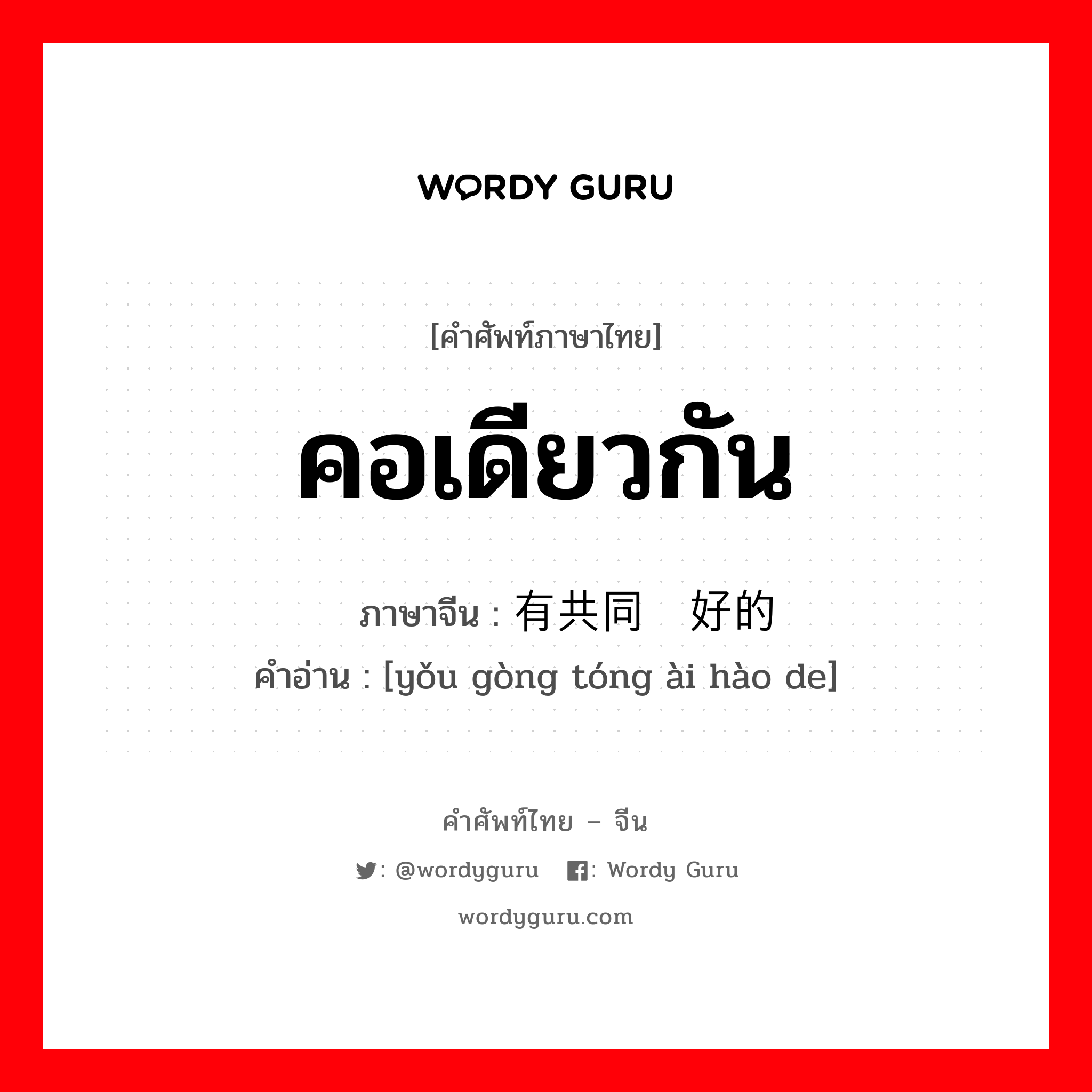 คอเดียวกัน ภาษาจีนคืออะไร, คำศัพท์ภาษาไทย - จีน คอเดียวกัน ภาษาจีน 有共同爱好的 คำอ่าน [yǒu gòng tóng ài hào de]