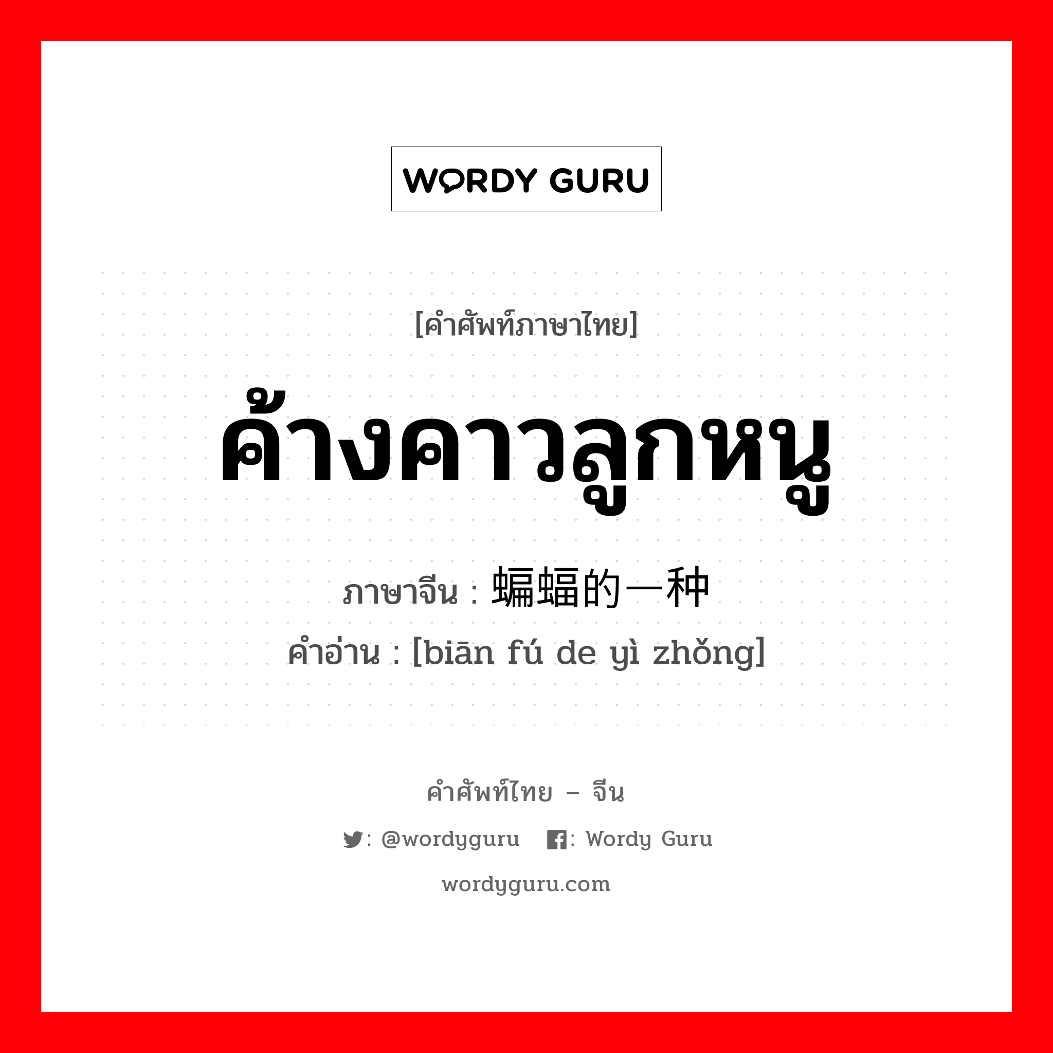 ค้างคาวลูกหนู ภาษาจีนคืออะไร, คำศัพท์ภาษาไทย - จีน ค้างคาวลูกหนู ภาษาจีน 蝙蝠的一种 คำอ่าน [biān fú de yì zhǒng]