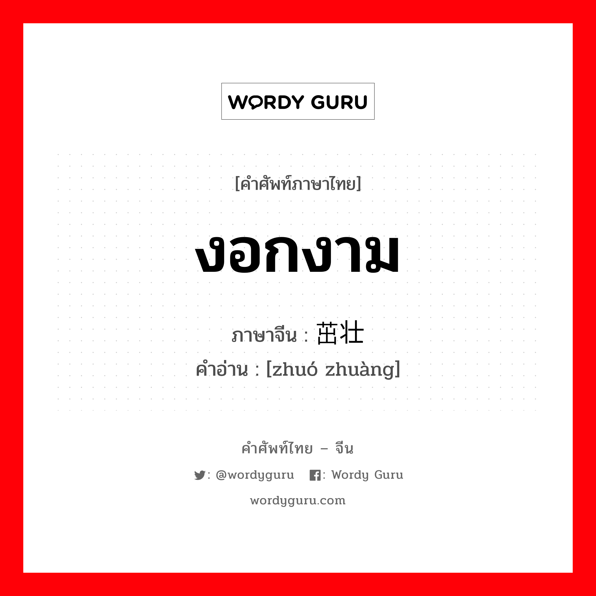 งอกงาม ภาษาจีนคืออะไร, คำศัพท์ภาษาไทย - จีน งอกงาม ภาษาจีน 茁壮 คำอ่าน [zhuó zhuàng]