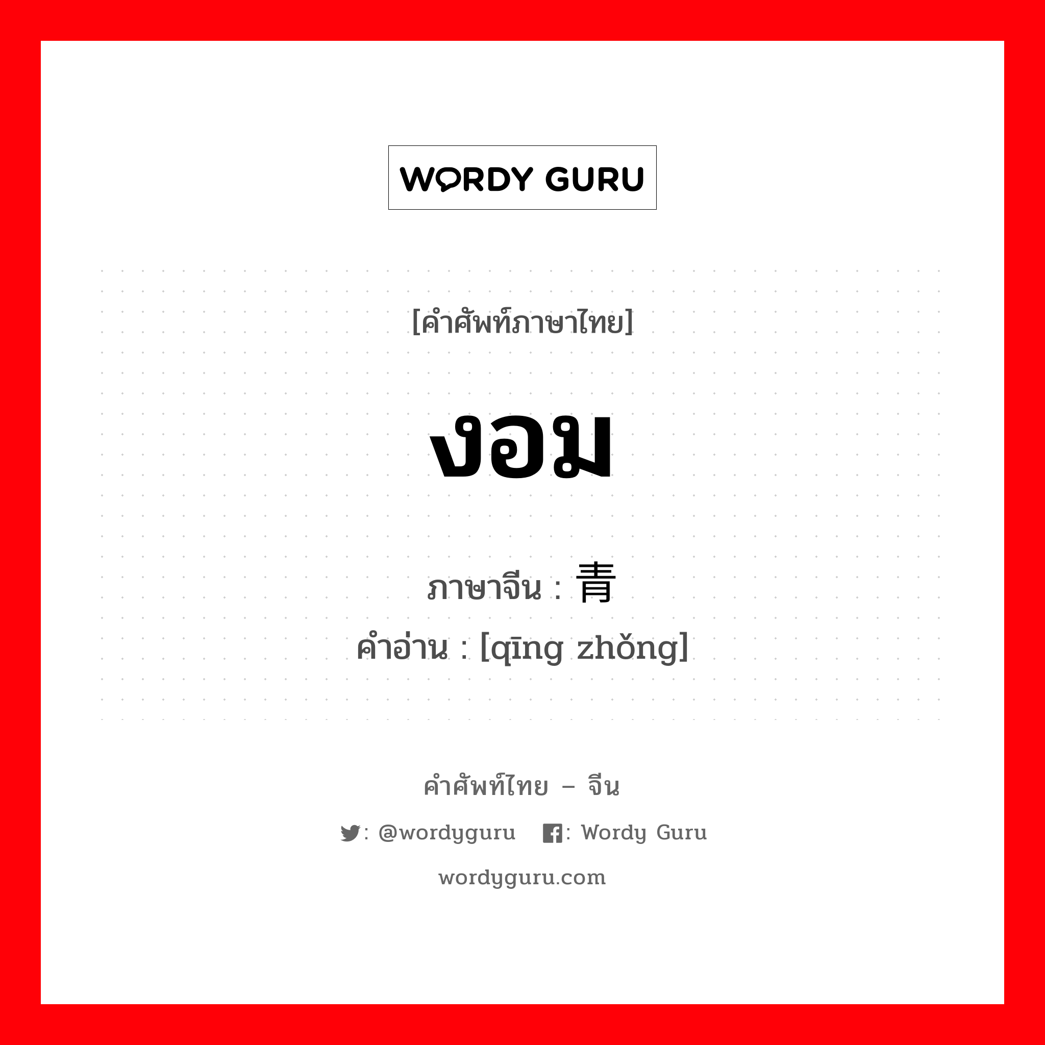 งอม ภาษาจีนคืออะไร, คำศัพท์ภาษาไทย - จีน งอม ภาษาจีน 青肿 คำอ่าน [qīng zhǒng]