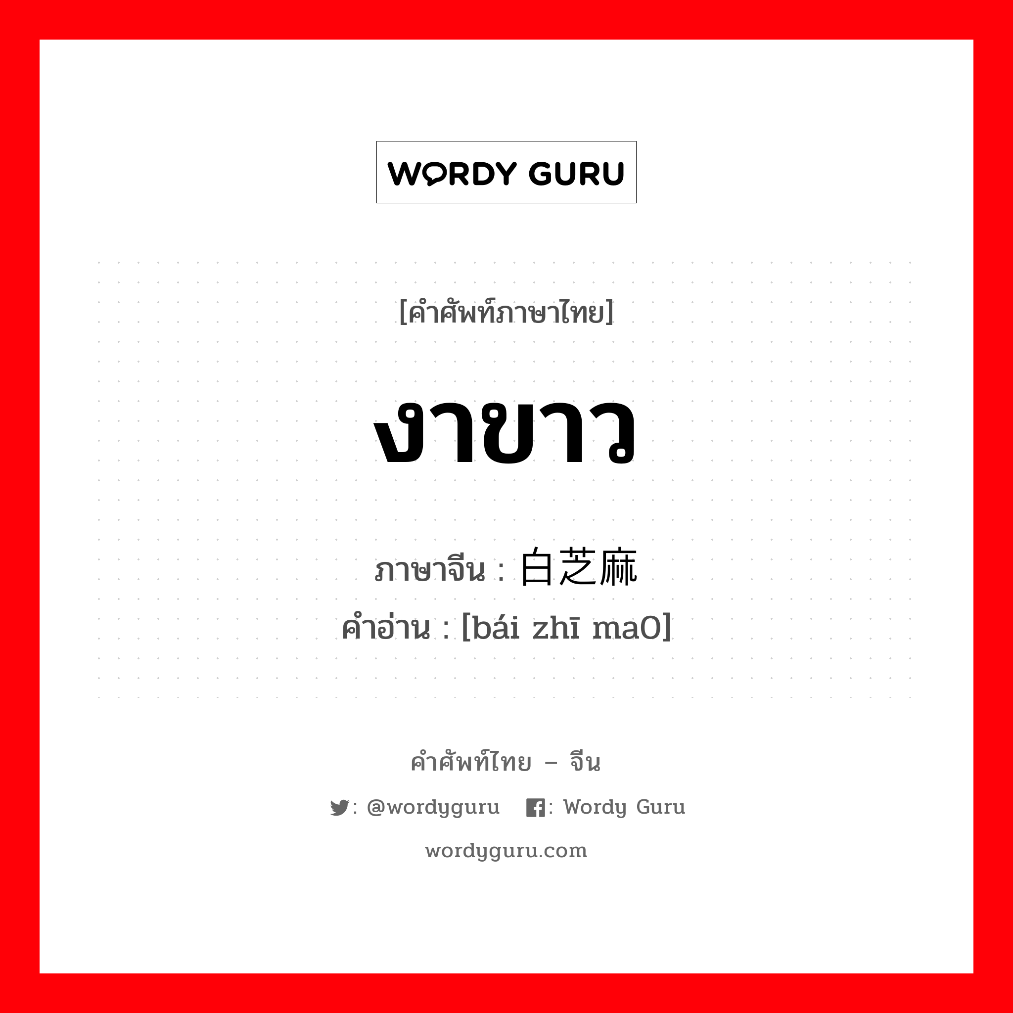 งาขาว ภาษาจีนคืออะไร, คำศัพท์ภาษาไทย - จีน งาขาว ภาษาจีน 白芝麻 คำอ่าน [bái zhī ma0]