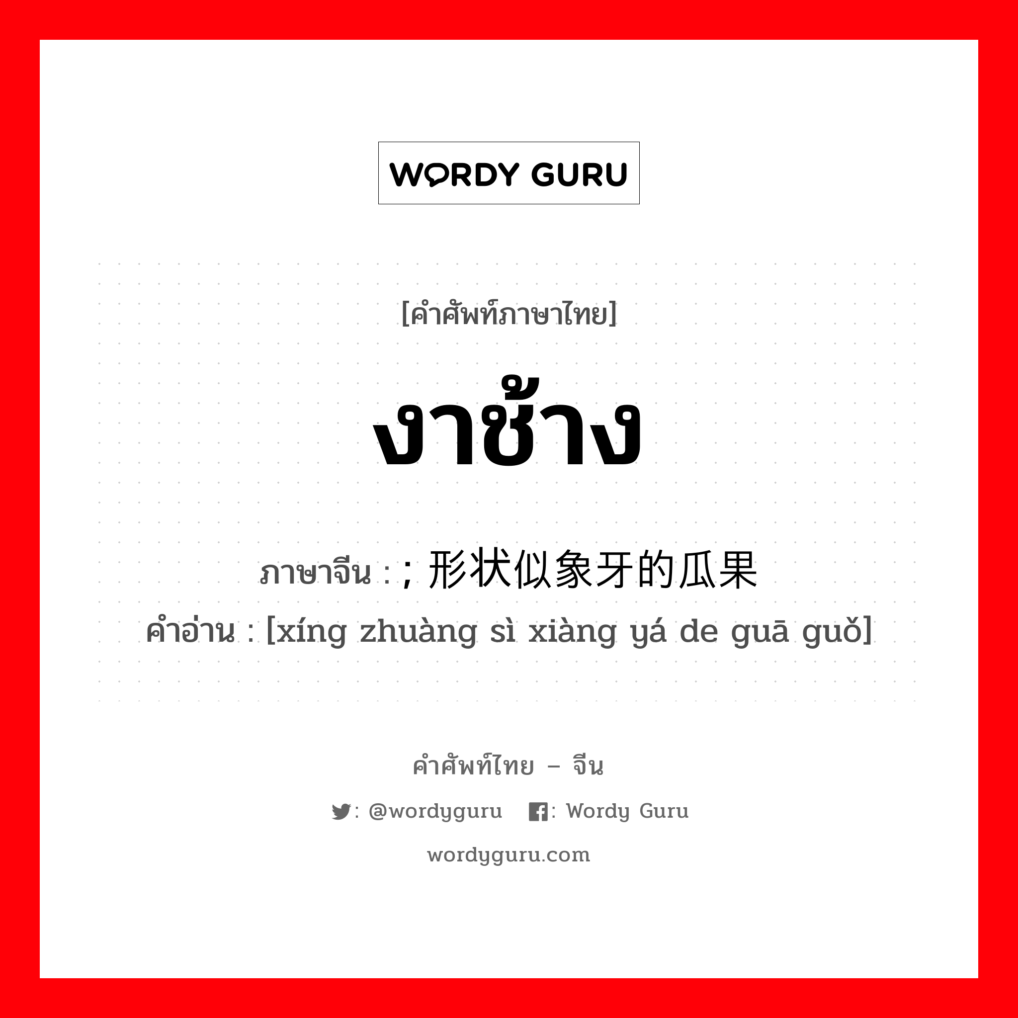 งาช้าง ภาษาจีนคืออะไร, คำศัพท์ภาษาไทย - จีน งาช้าง ภาษาจีน ; 形状似象牙的瓜果 คำอ่าน [xíng zhuàng sì xiàng yá de guā guǒ]