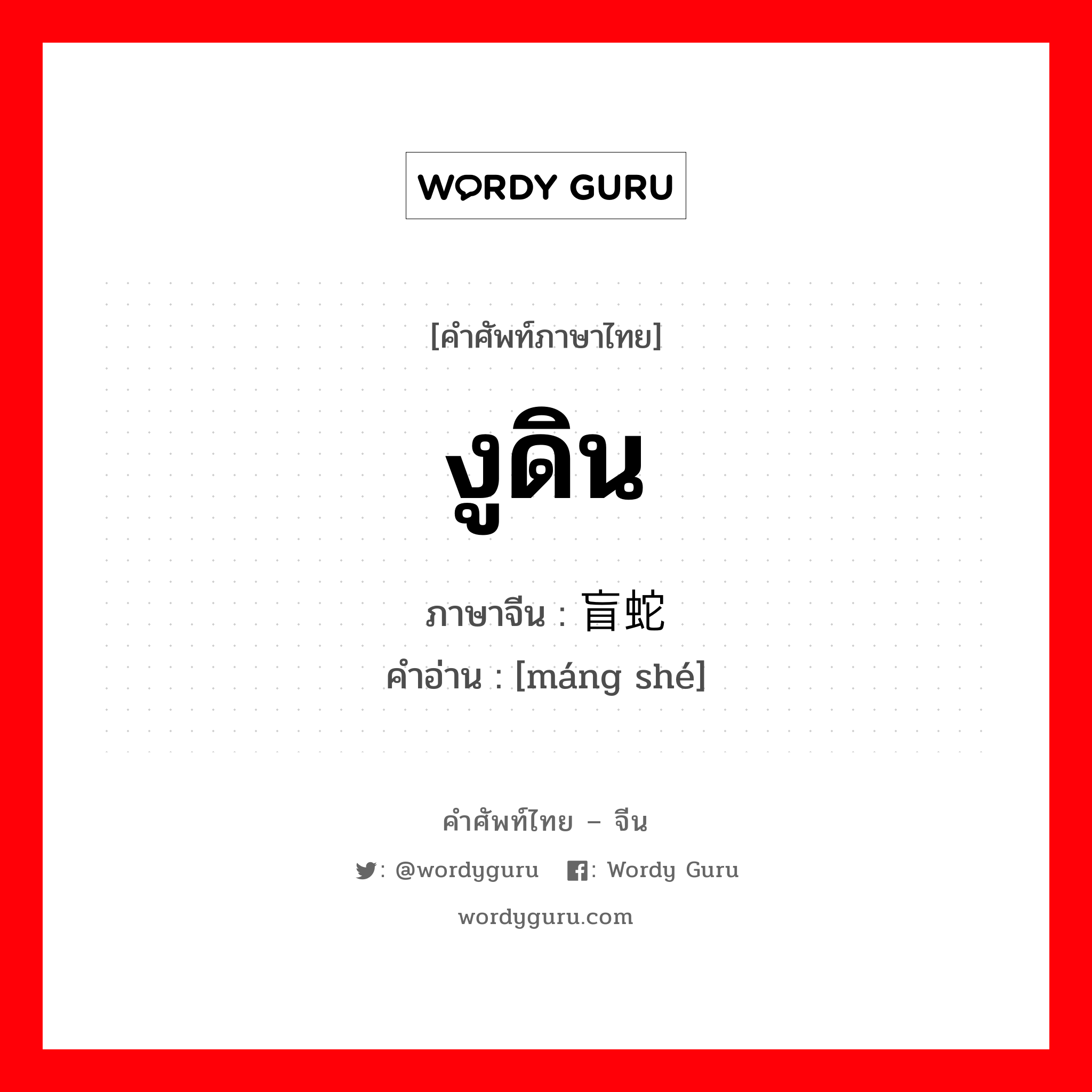 งูดิน ภาษาจีนคืออะไร, คำศัพท์ภาษาไทย - จีน งูดิน ภาษาจีน 盲蛇 คำอ่าน [máng shé]