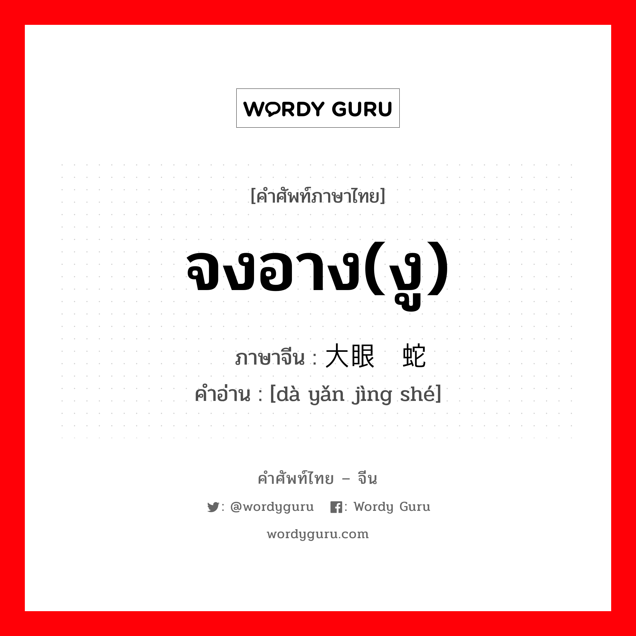 จงอาง(งู) ภาษาจีนคืออะไร, คำศัพท์ภาษาไทย - จีน จงอาง(งู) ภาษาจีน 大眼镜蛇 คำอ่าน [dà yǎn jìng shé]