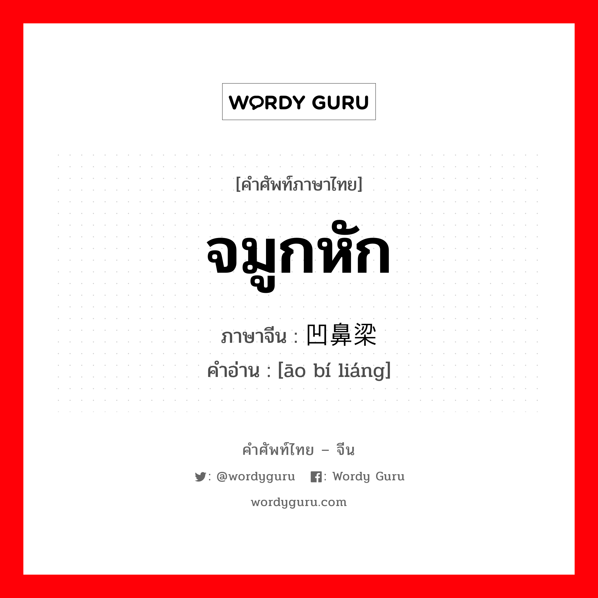 จมูกหัก ภาษาจีนคืออะไร, คำศัพท์ภาษาไทย - จีน จมูกหัก ภาษาจีน 凹鼻梁 คำอ่าน [āo bí liáng]