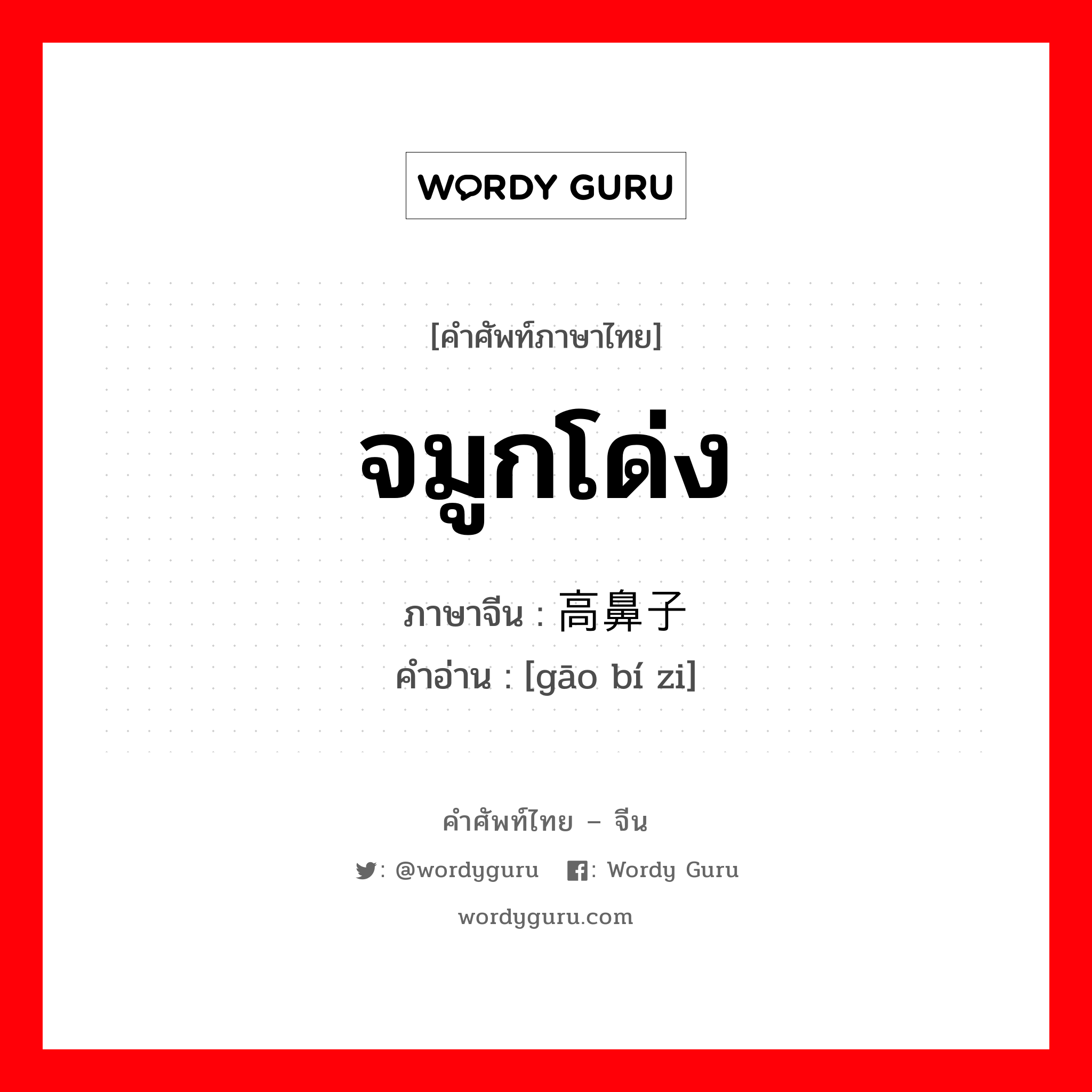 จมูกโด่ง ภาษาจีนคืออะไร, คำศัพท์ภาษาไทย - จีน จมูกโด่ง ภาษาจีน 高鼻子 คำอ่าน [gāo bí zi]