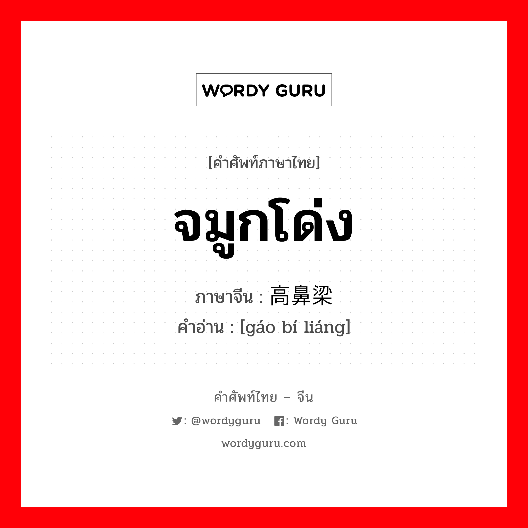 จมูกโด่ง ภาษาจีนคืออะไร, คำศัพท์ภาษาไทย - จีน จมูกโด่ง ภาษาจีน 高鼻梁 คำอ่าน [gáo bí liáng]