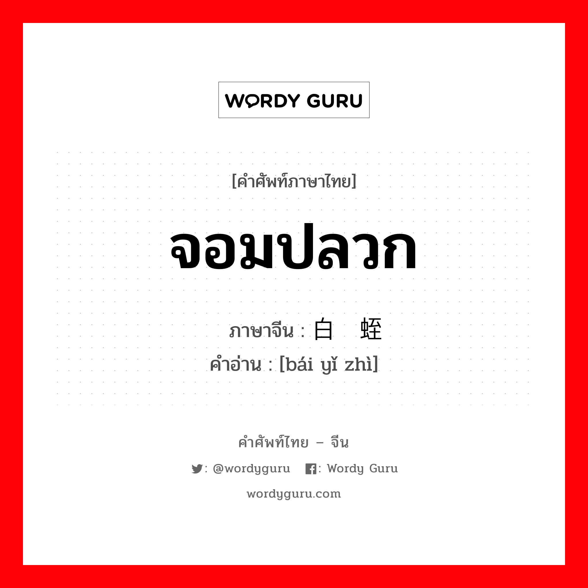 จอมปลวก ภาษาจีนคืออะไร, คำศัพท์ภาษาไทย - จีน จอมปลวก ภาษาจีน 白蚁蛭 คำอ่าน [bái yǐ zhì]