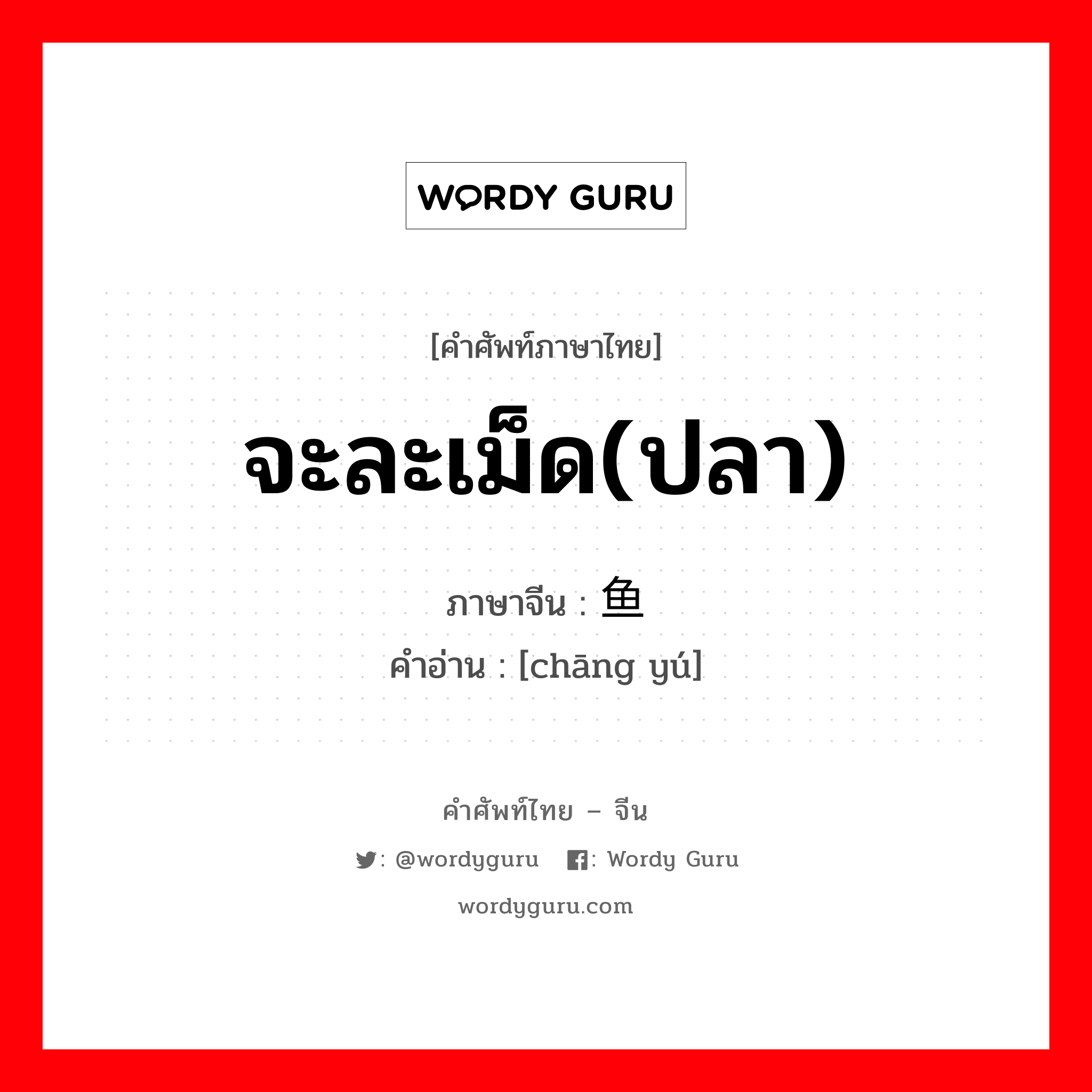 จะละเม็ด(ปลา) ภาษาจีนคืออะไร, คำศัพท์ภาษาไทย - จีน จะละเม็ด(ปลา) ภาษาจีน 鲳鱼 คำอ่าน [chāng yú]