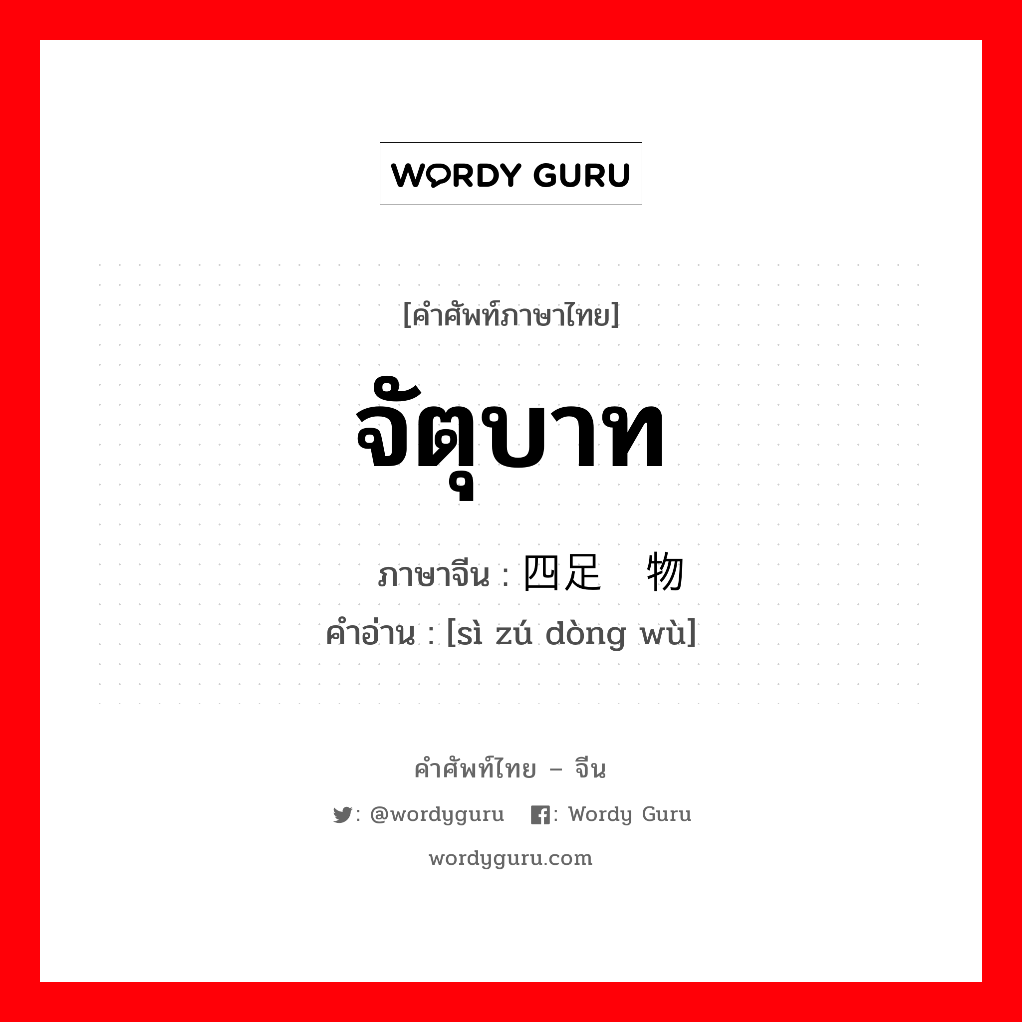 จัตุบาท ภาษาจีนคืออะไร, คำศัพท์ภาษาไทย - จีน จัตุบาท ภาษาจีน 四足动物 คำอ่าน [sì zú dòng wù]