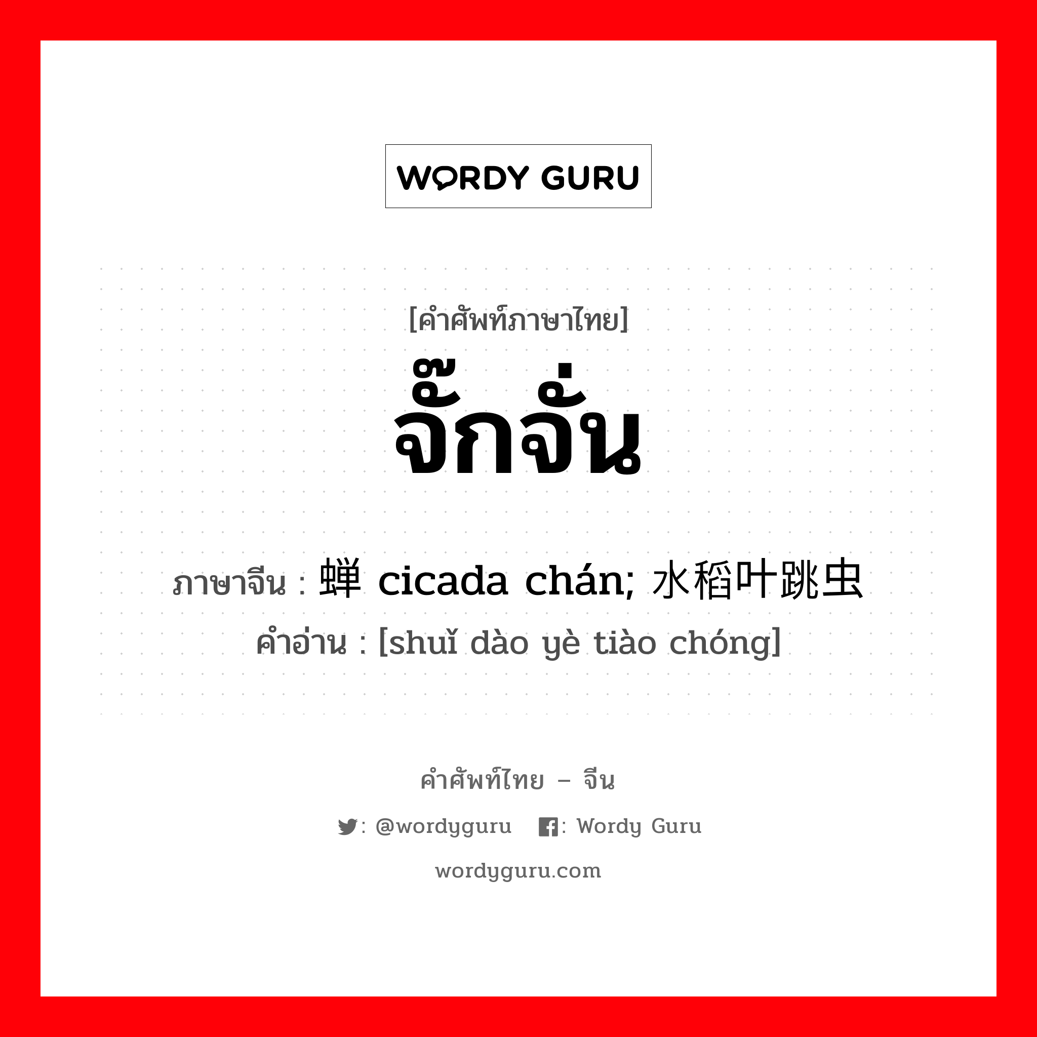 จั๊กจั่น ภาษาจีนคืออะไร, คำศัพท์ภาษาไทย - จีน จั๊กจั่น ภาษาจีน 蝉 cicada chán; 水稻叶跳虫 คำอ่าน [shuǐ dào yè tiào chóng]