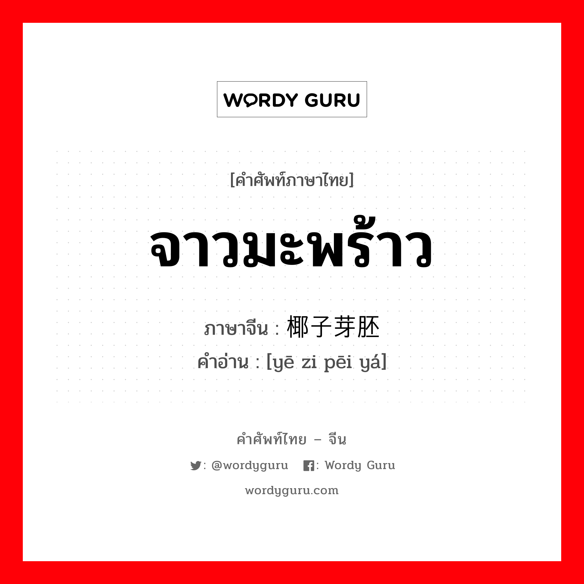 จาวมะพร้าว ภาษาจีนคืออะไร, คำศัพท์ภาษาไทย - จีน จาวมะพร้าว ภาษาจีน 椰子芽胚 คำอ่าน [yē zi pēi yá]