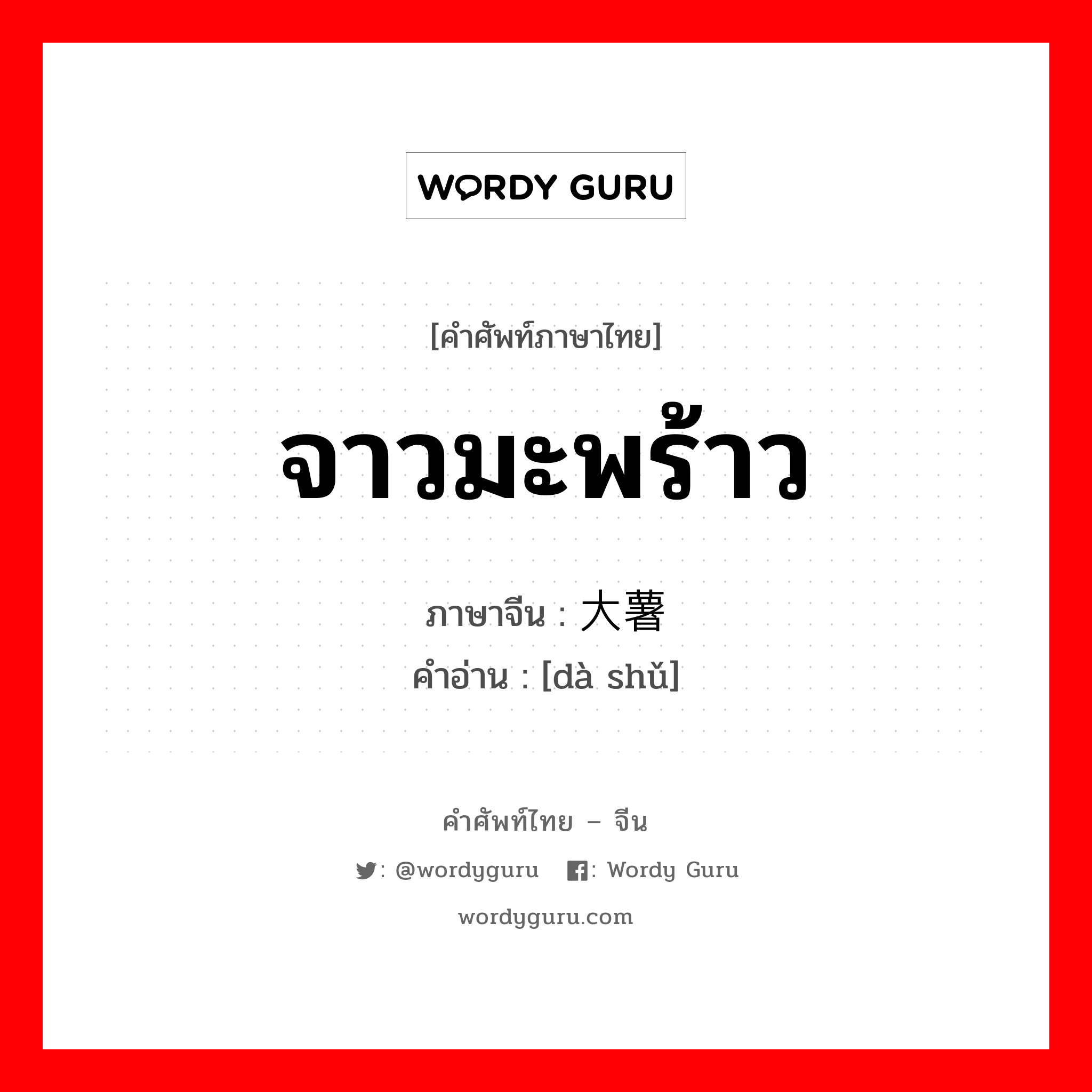 จาวมะพร้าว ภาษาจีนคืออะไร, คำศัพท์ภาษาไทย - จีน จาวมะพร้าว ภาษาจีน 大薯 คำอ่าน [dà shǔ]