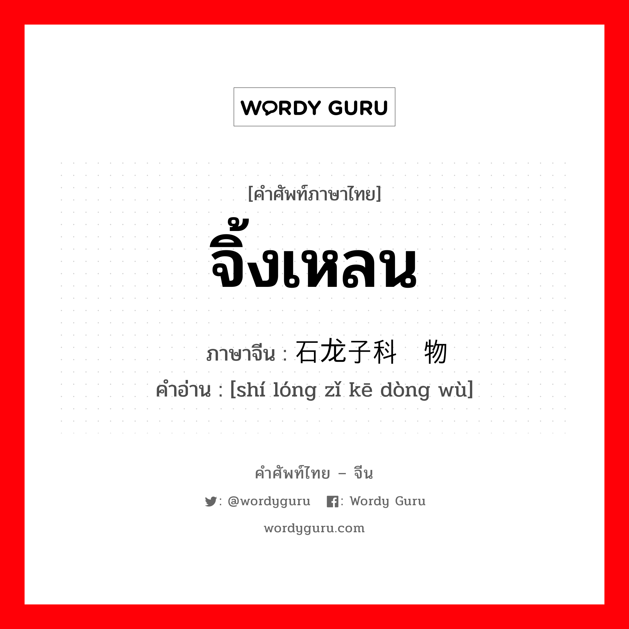 จิ้งเหลน ภาษาจีนคืออะไร, คำศัพท์ภาษาไทย - จีน จิ้งเหลน ภาษาจีน 石龙子科动物 คำอ่าน [shí lóng zǐ kē dòng wù]