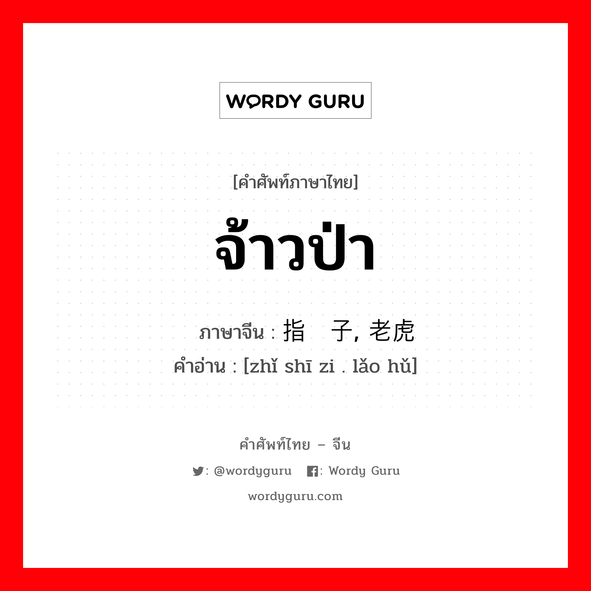 จ้าวป่า ภาษาจีนคืออะไร, คำศัพท์ภาษาไทย - จีน จ้าวป่า ภาษาจีน 指狮子, 老虎 คำอ่าน [zhǐ shī zi . lǎo hǔ]